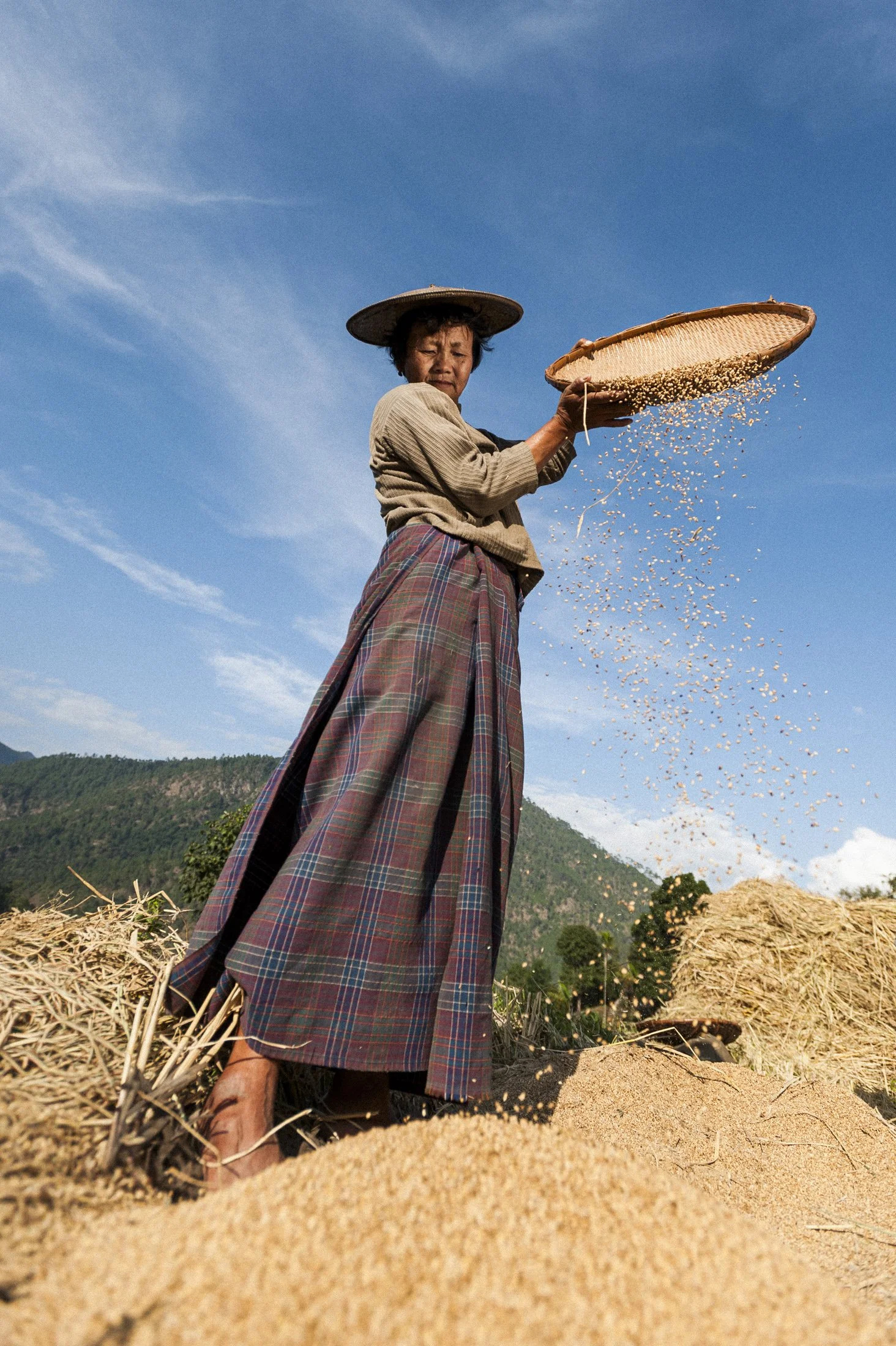 A Bhutanese woman winnows rice from a handmade bamboo tray by pouring it from shoulder height. This separates the grains from the husks. She is wearing a traditional hat and standing on the rice. The image is framed wide angle showing hills in the ba