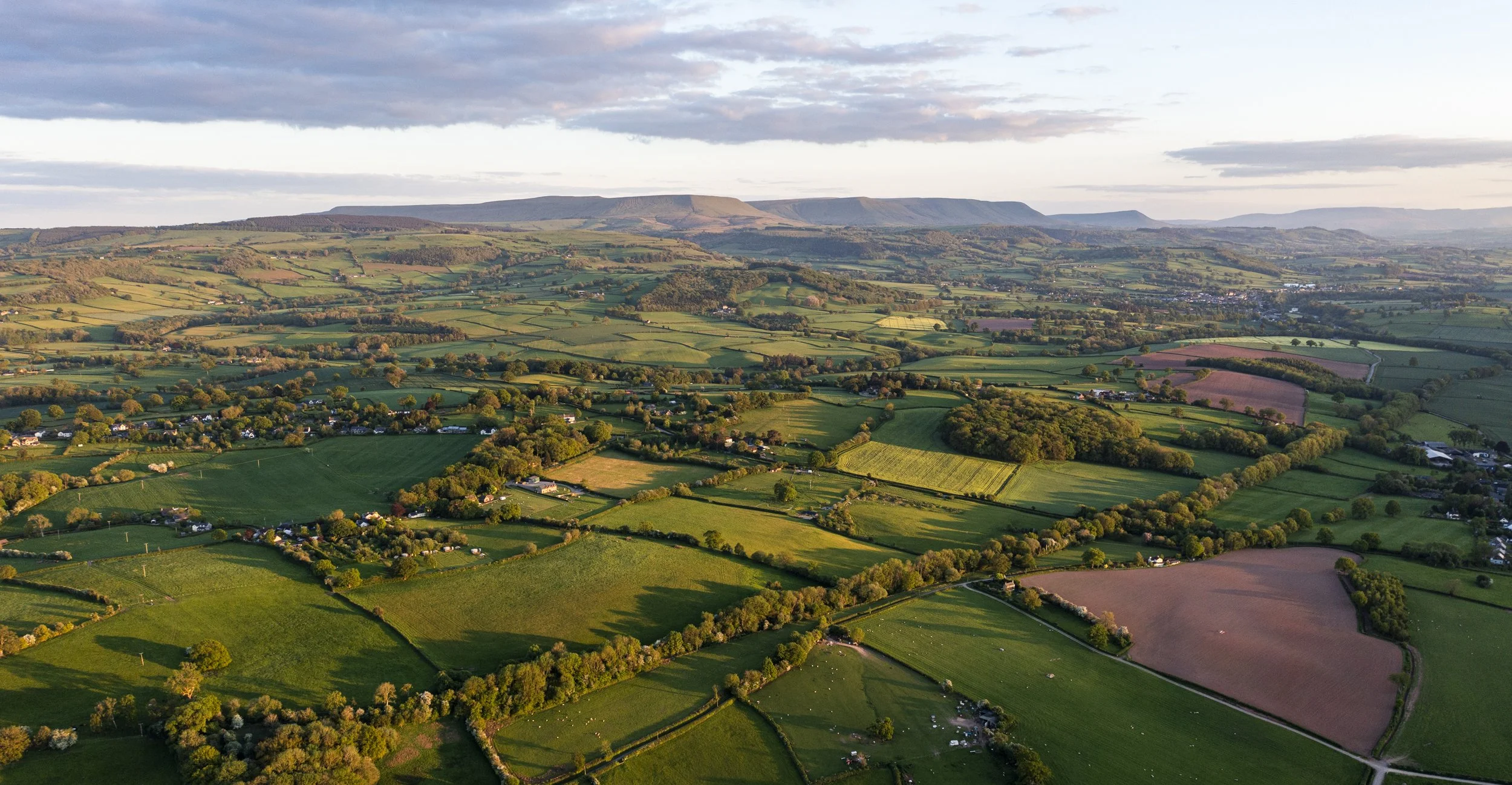260510_Alex_Treadway_DJI_0332.jpg