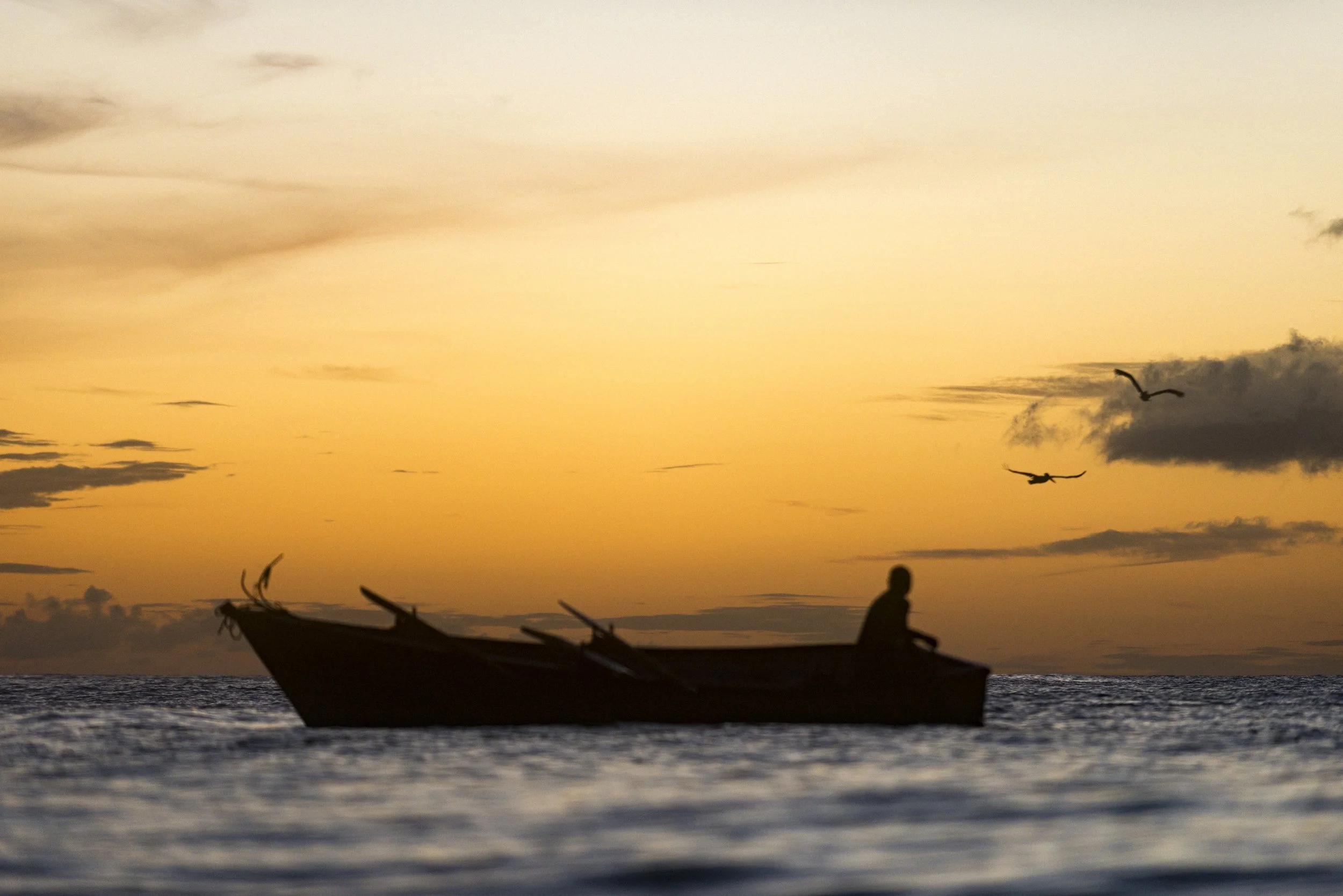 151107_Alex_Treadway_Trinidad_and_TobagoDSC_2833.jpg