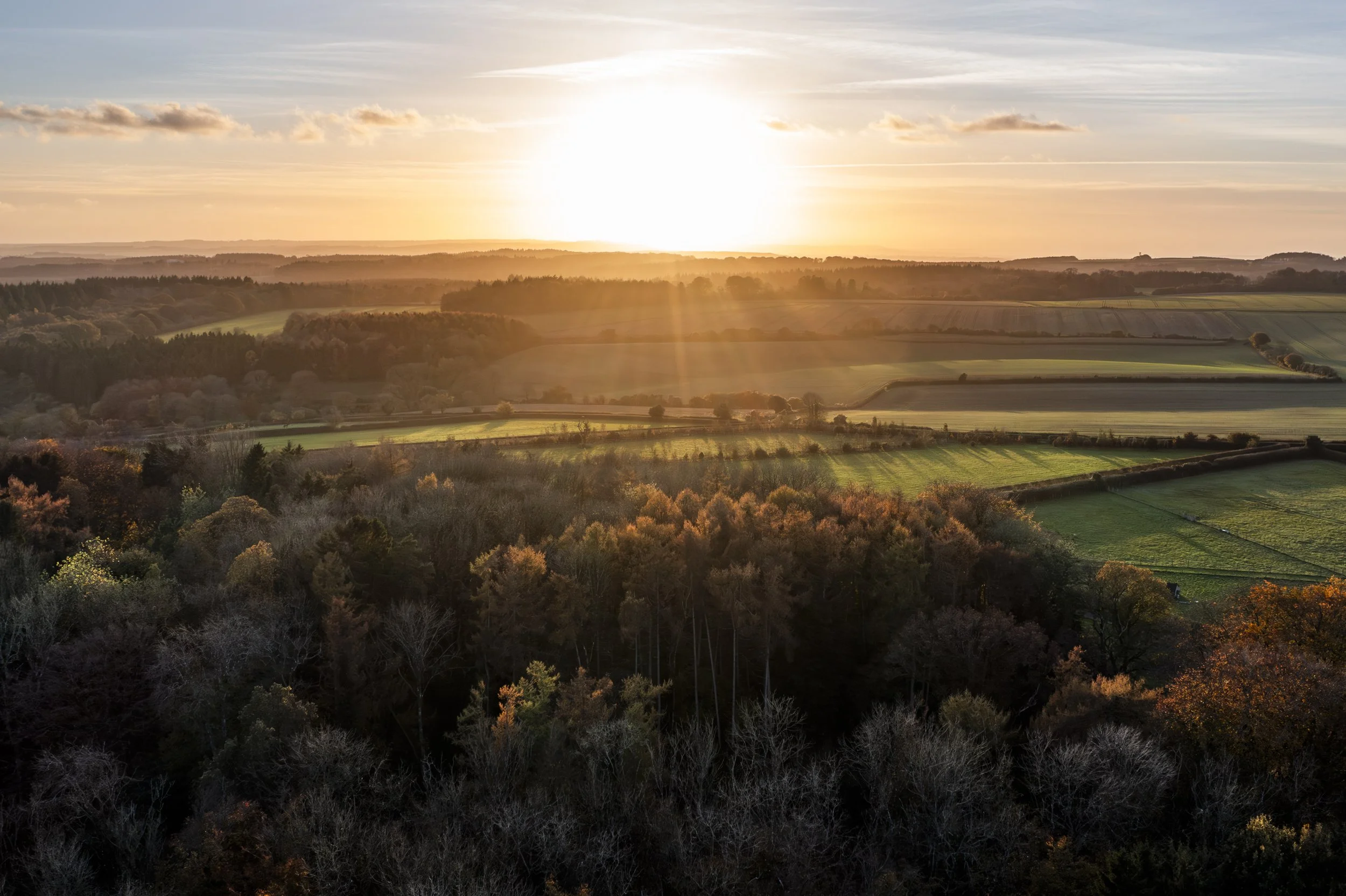 241111_Alex_Treadway_United_KingdomDJI_0382-Enhanced-NR.jpg