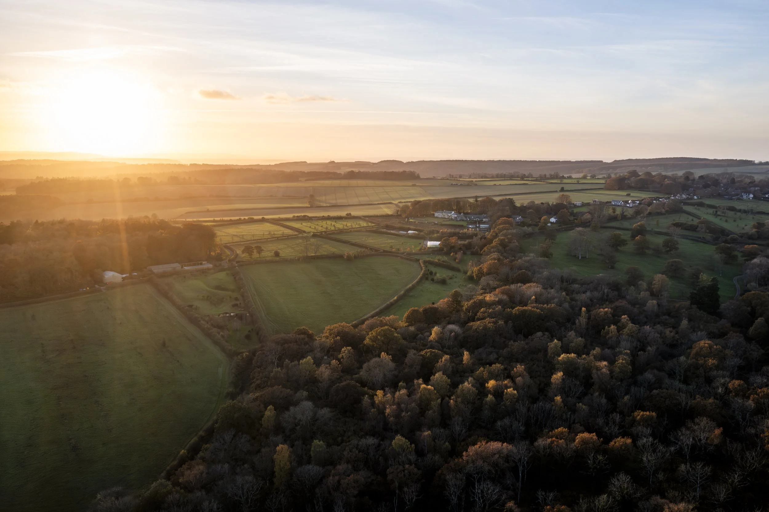 241111_Alex_Treadway_DJI_0379-Enhanced-NR.jpg