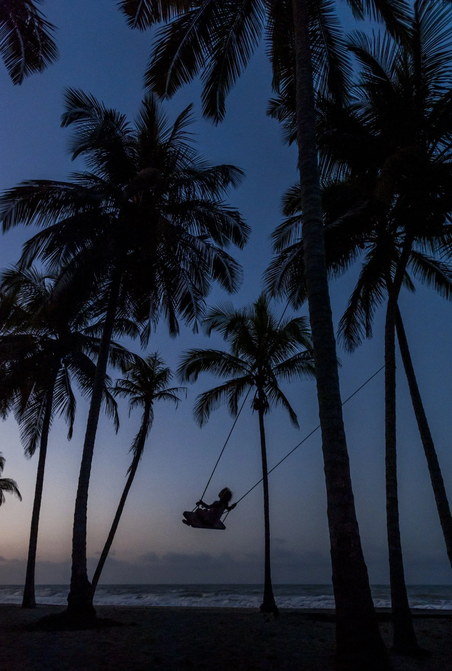 A girl swings underneath palm trees at dusk on a tropical looking beach. There's the faint afterglow of sunset on the horizon.