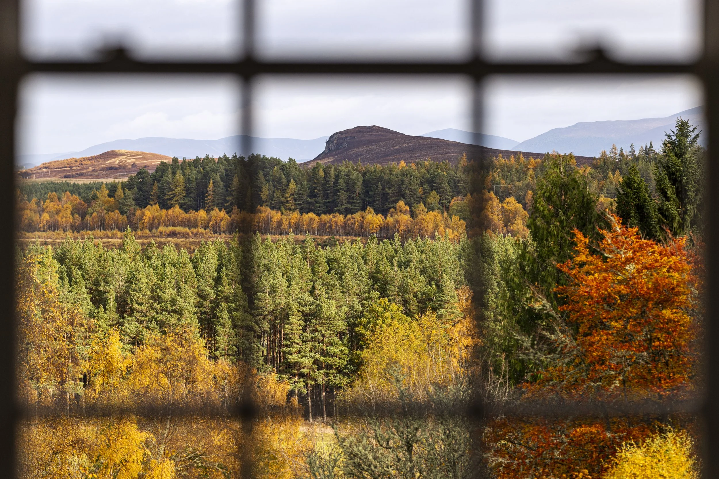 201023_Alex_Treadway_Scotland,_United_Kingdom_DSC0323.jpg