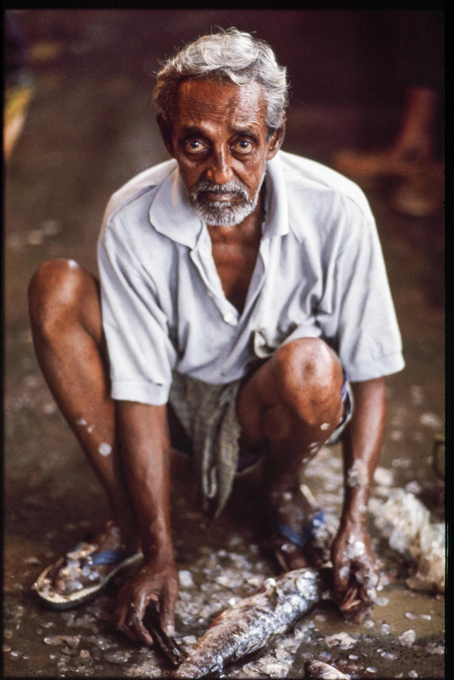 090712_Alex_Treadway_Indiafish_man.jpg