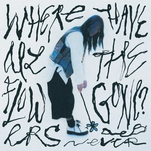 DEB NEVER – WHERE HAVE ALL THE FLOWERS GONE? (EP)