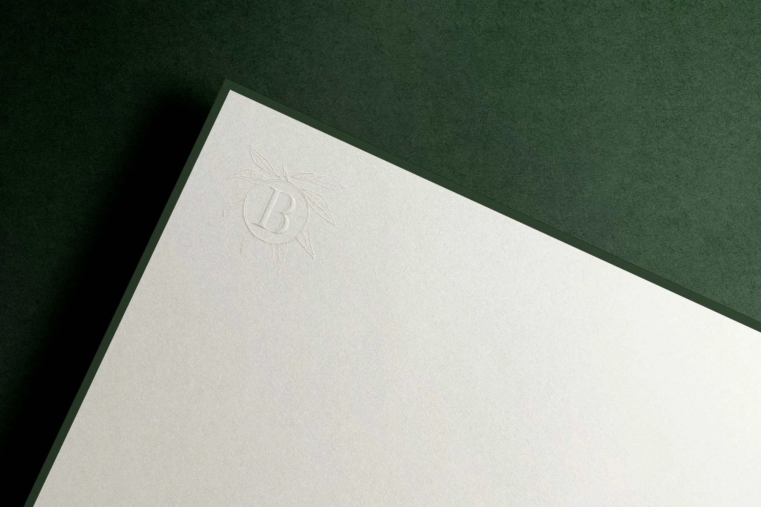 Close-up of a textured white card with an embossed logo of a circle with a letter B inside, surrounded by a stylized sun and leaf design, on a dark green background.
