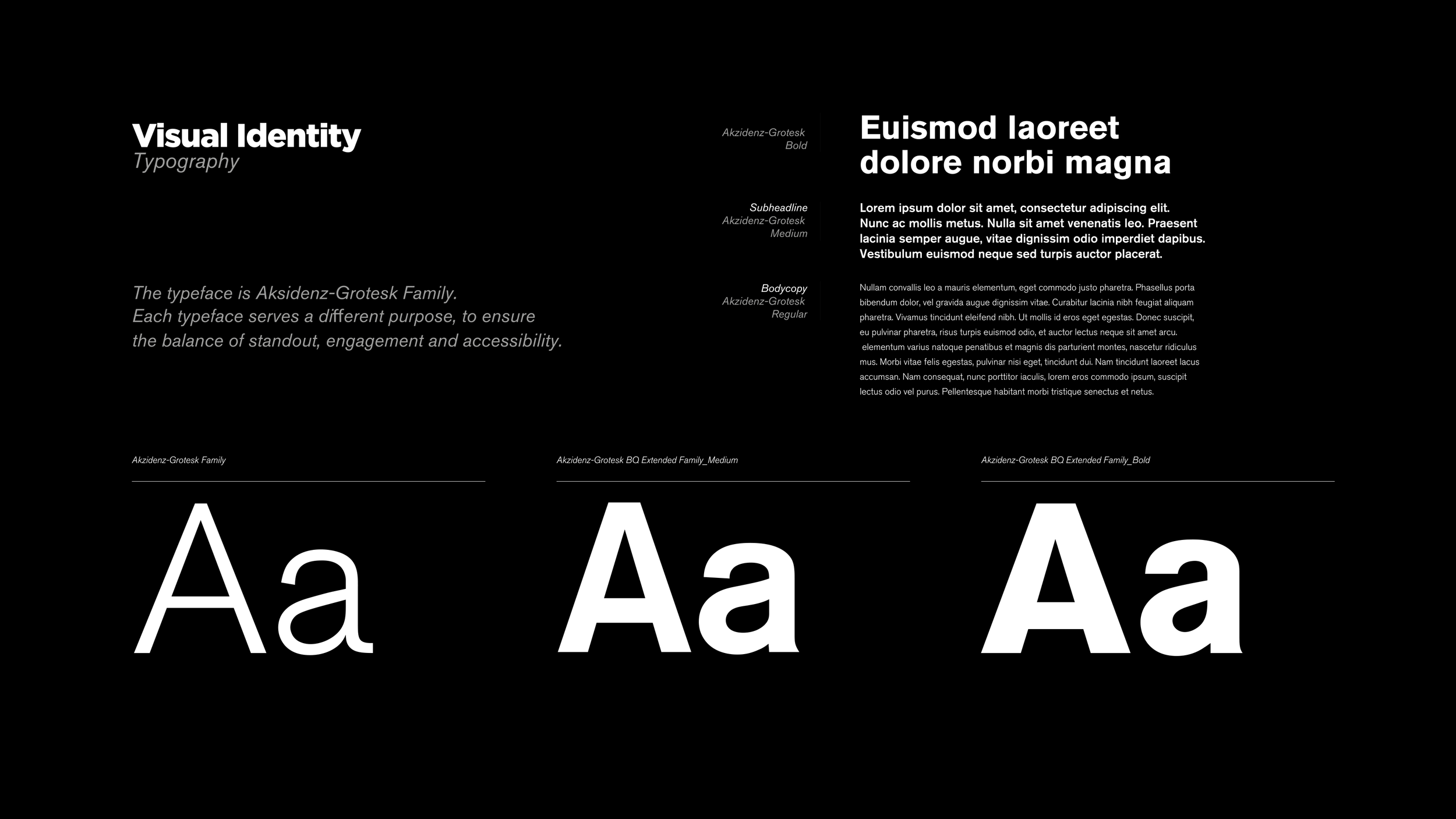 Comparison of three different typography styles with large uppercase and lowercase letters, and sample text on a black background.