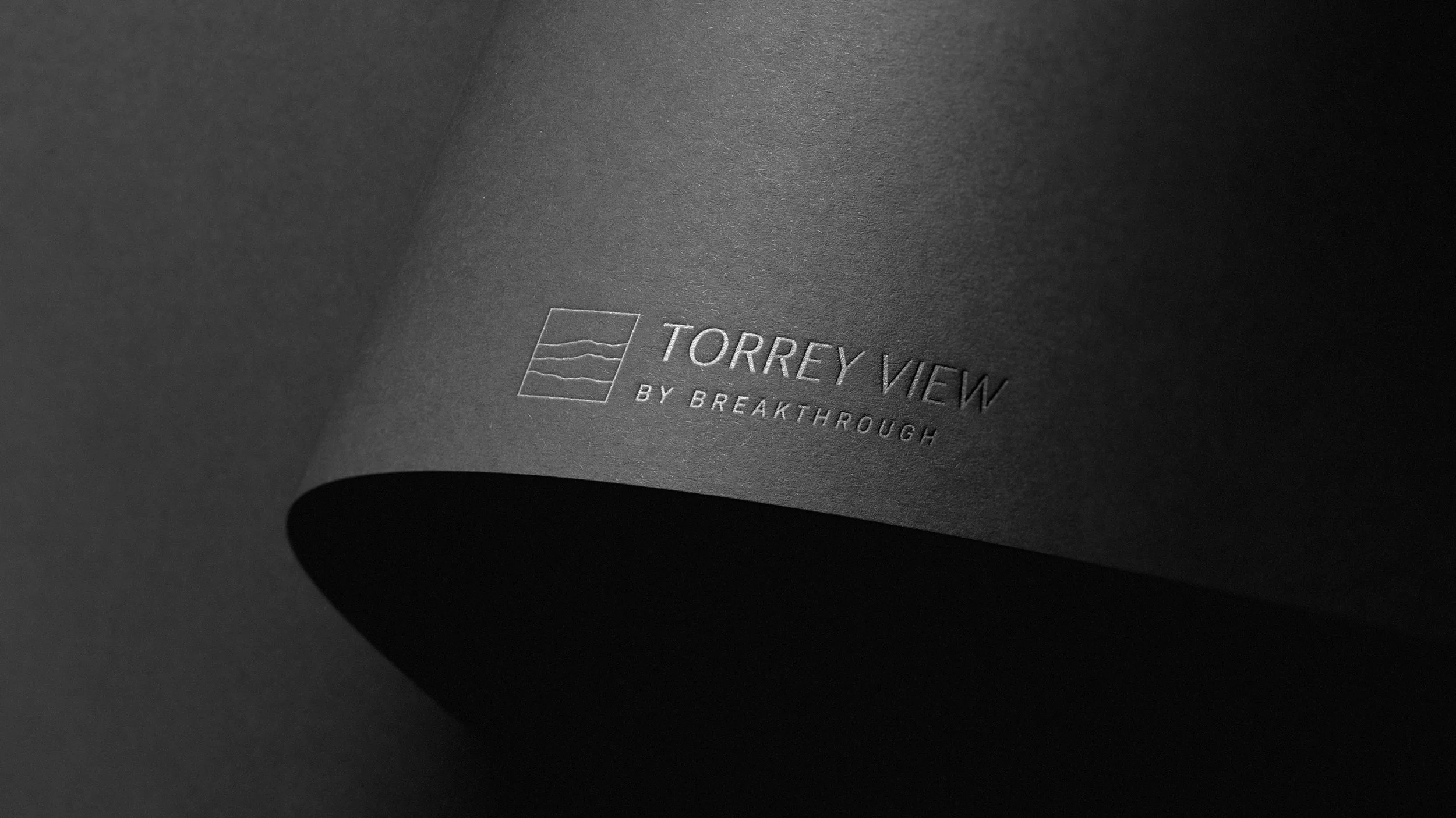 Close-up of a black package with the embossed text 'Torrey View by Breakthrough' and a rectangle logo with wavy lines.