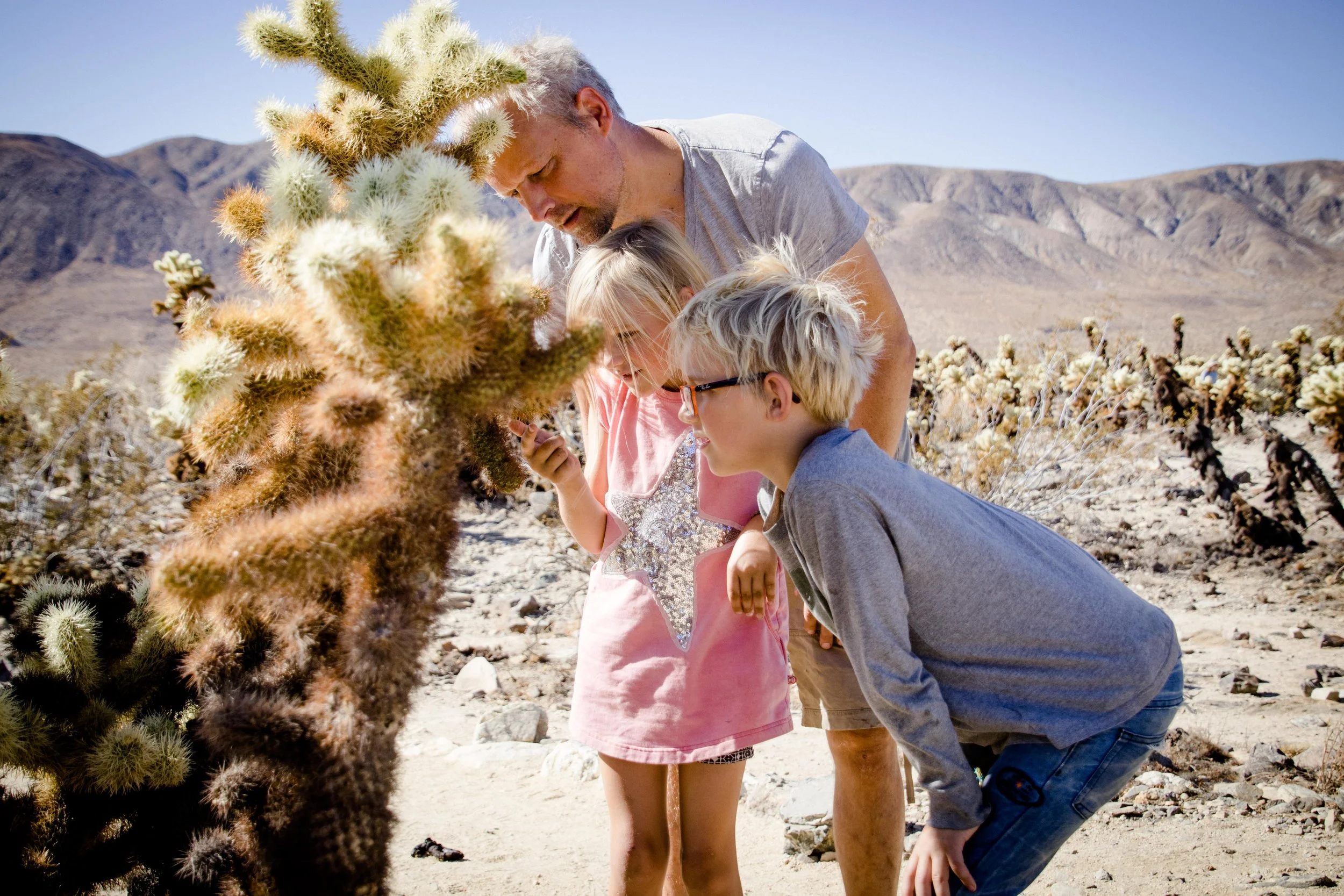 Ein Mann mit zwei Kindern betrachtet Cholla-Kaktuspflanzen in einer trockenen Wüstenlandschaft in Kalifornien, im Hintergrund Berge und ein klarer blauer Himmel.