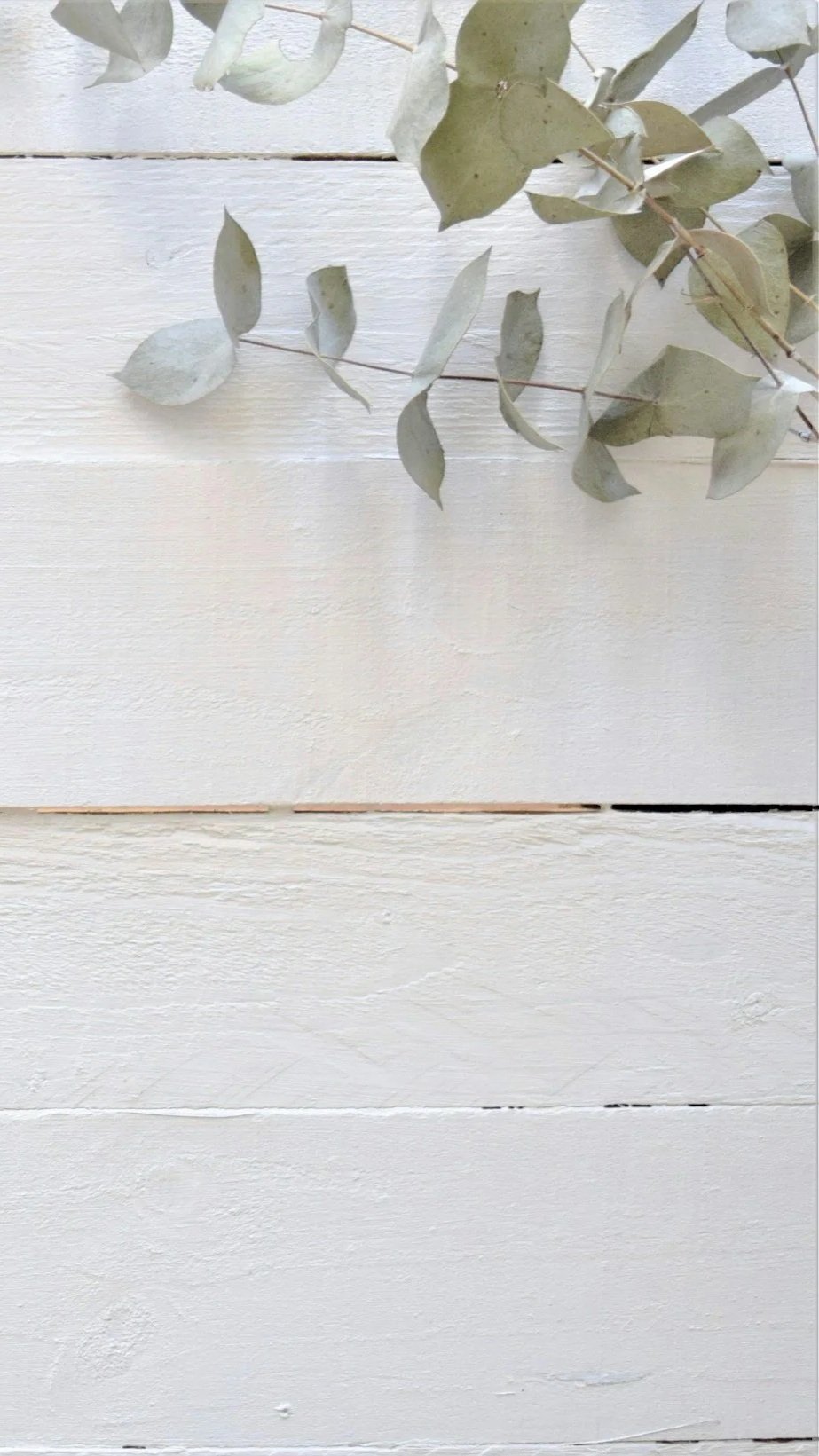 Eucalyptus leaves on a white painted wooden surface.