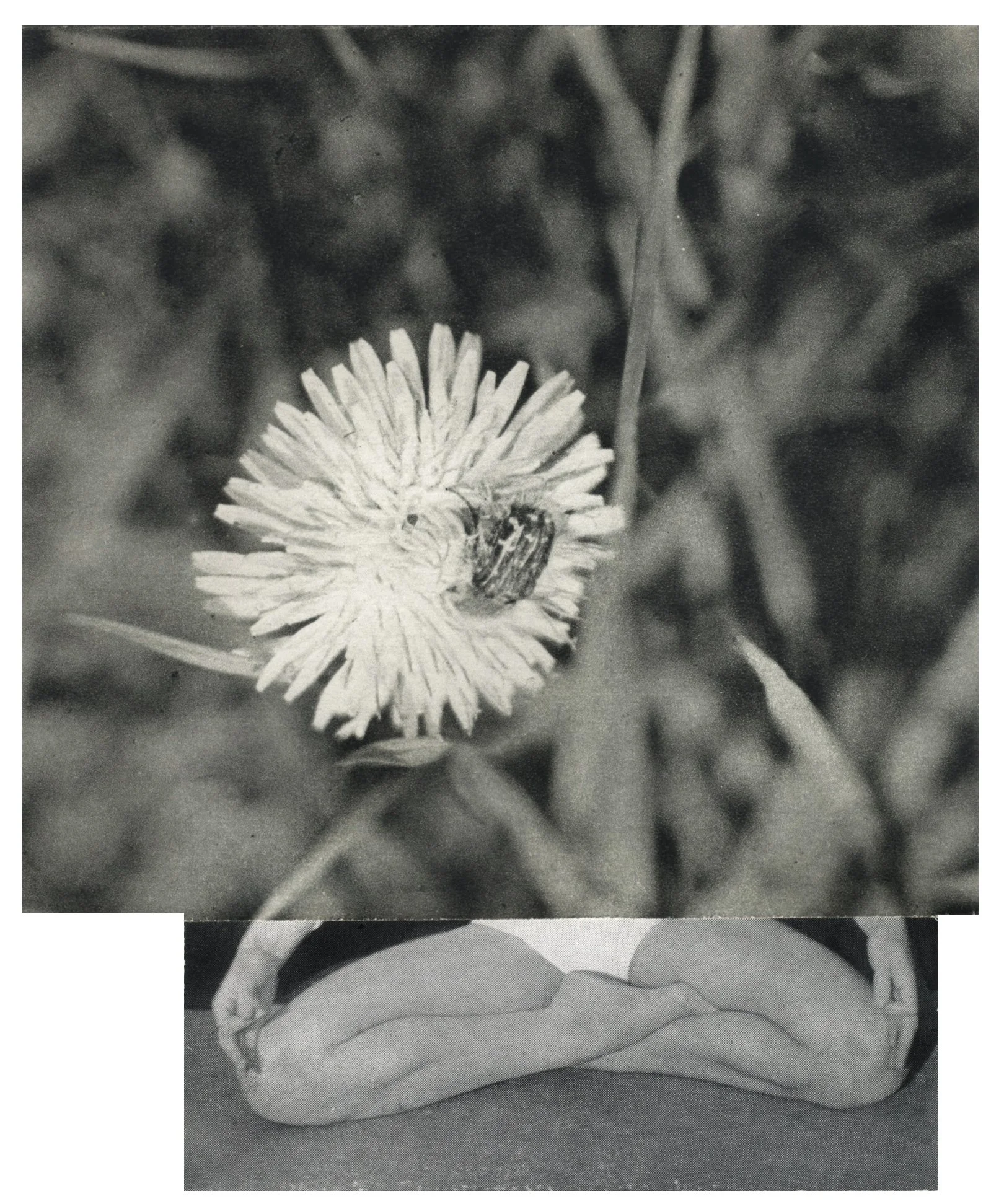 xx3.jpg