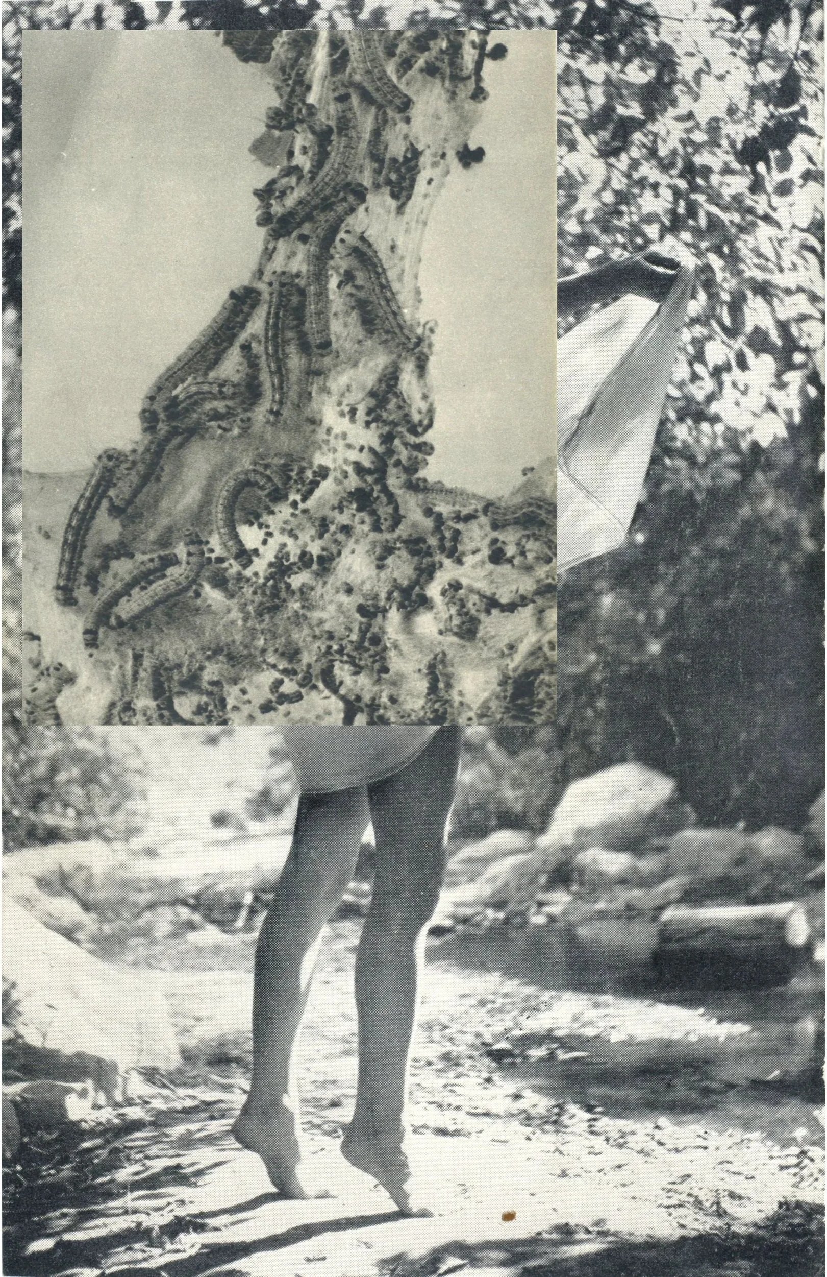 12 x 18 cm