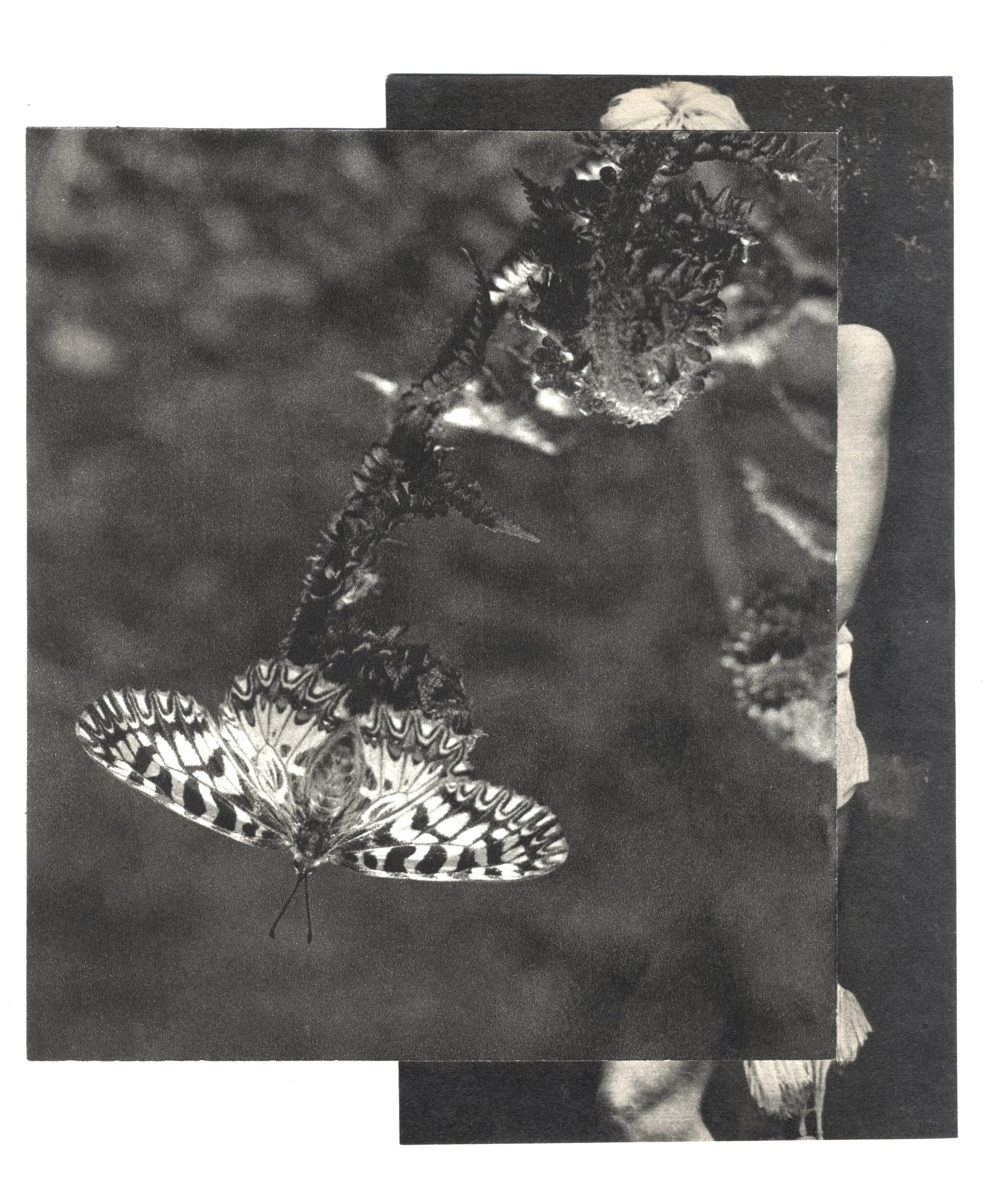 5-19x21cm.jpg