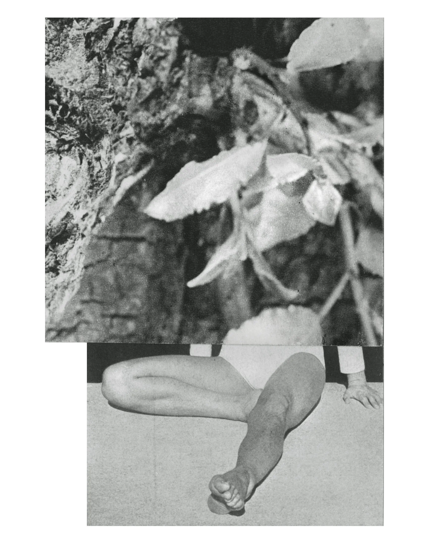 Scan a4.jpg
