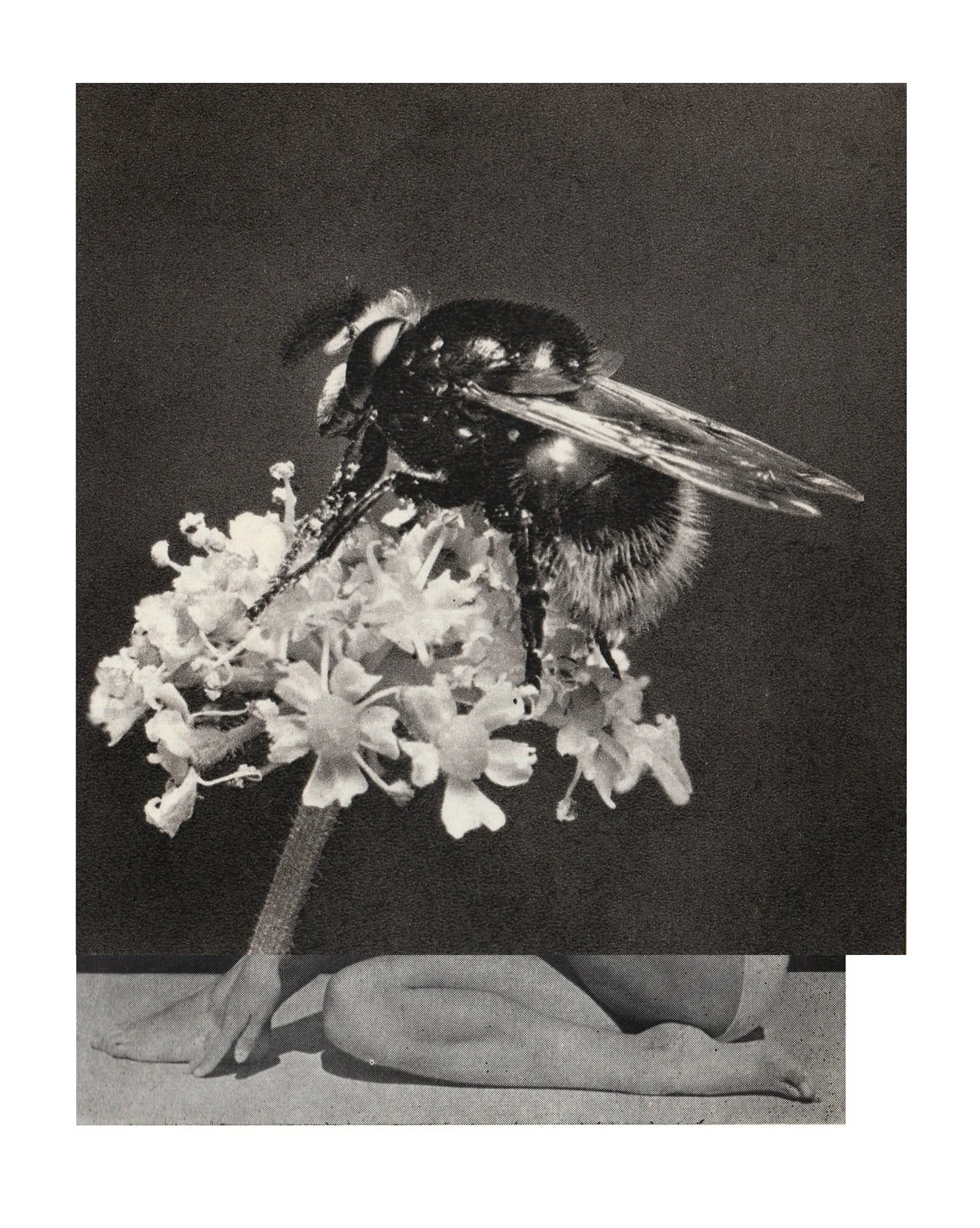 Scan 5.jpg