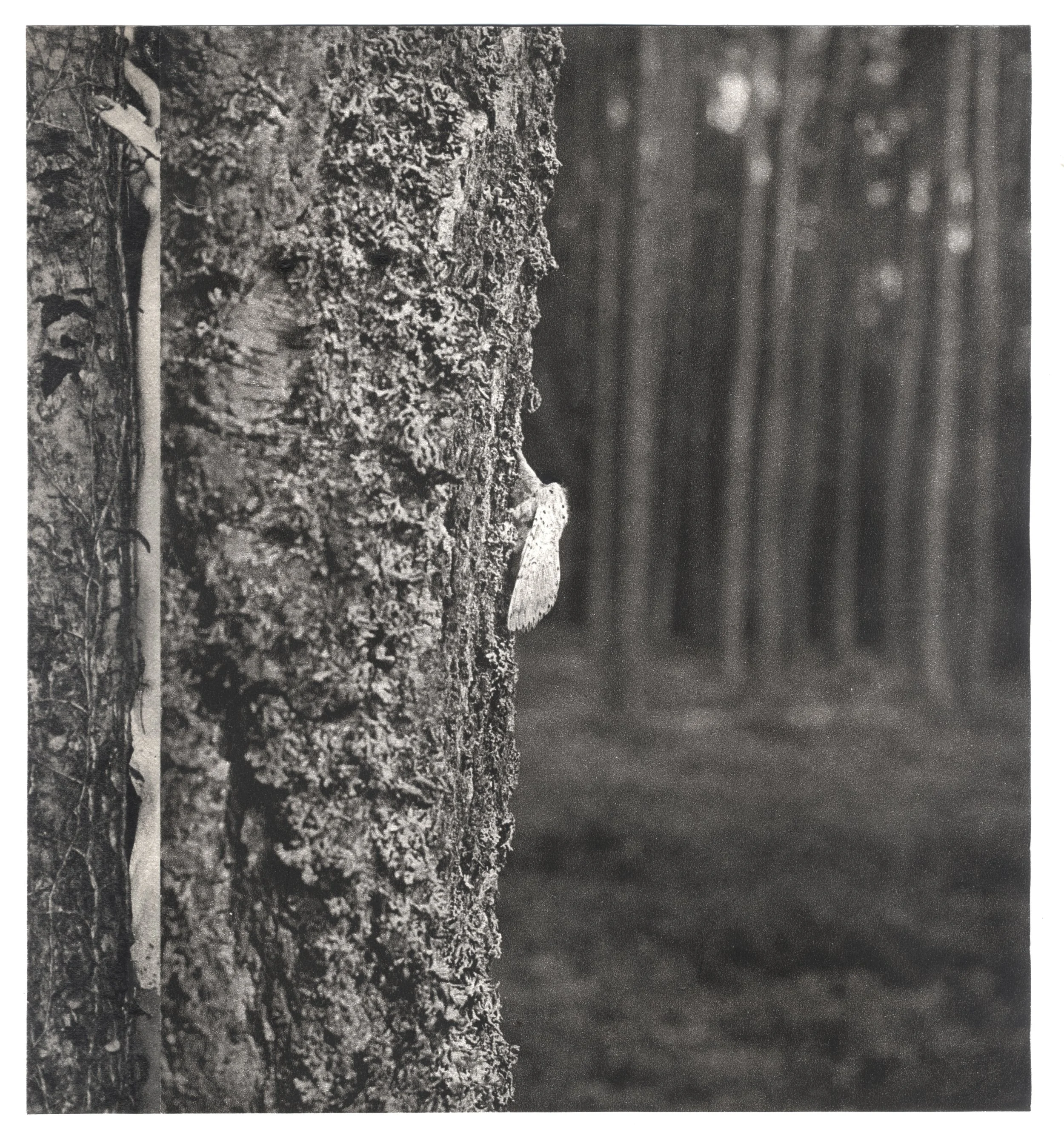 6 -20x22 cm.jpg