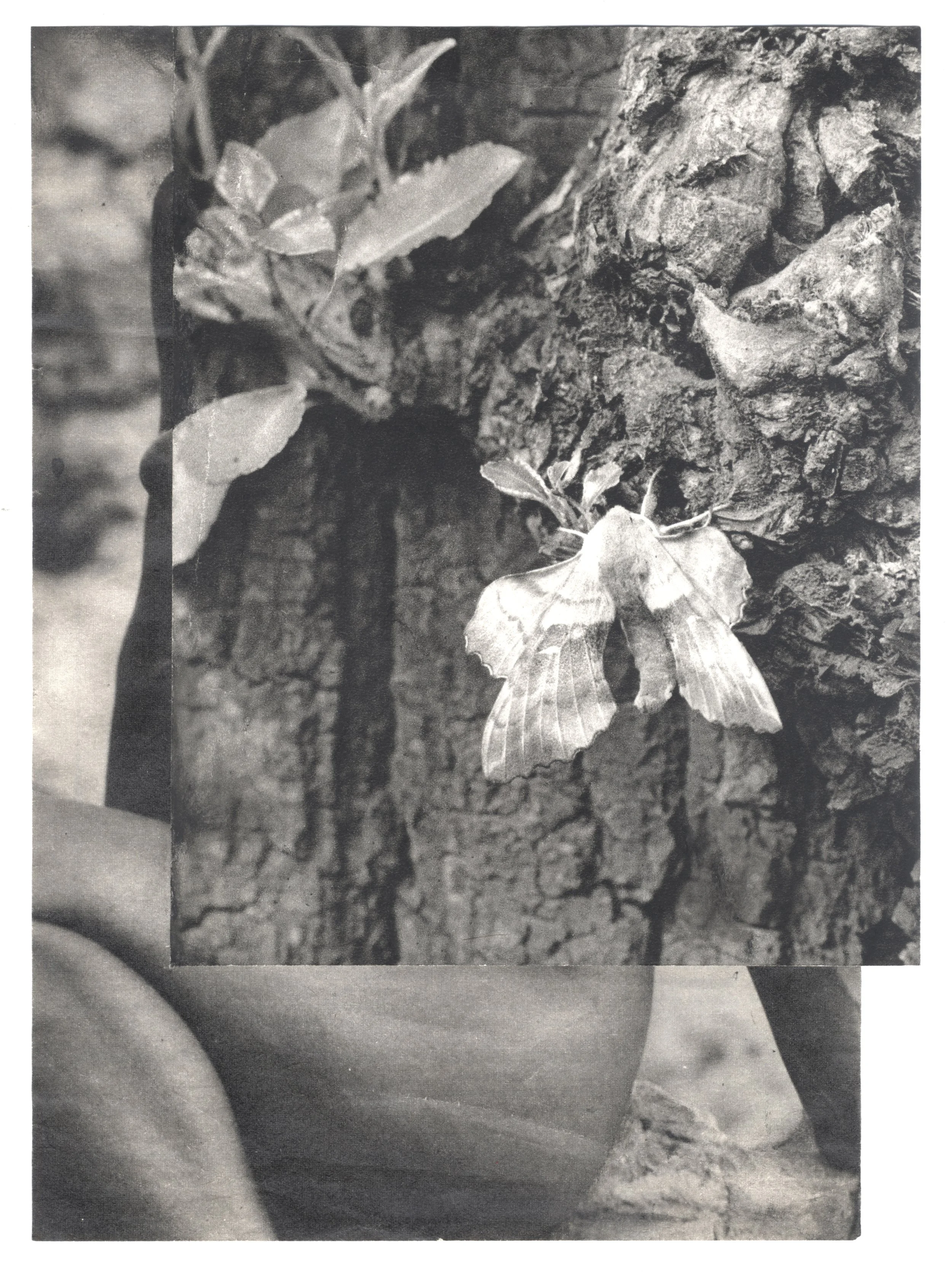 7-16 x22 cm.jpg