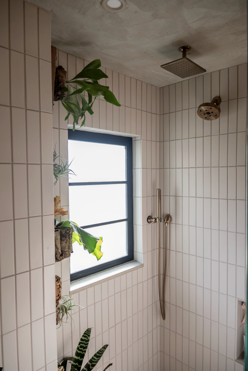 A bathroom shower with beige tiled walls, a window, a rainfall showerhead, a handheld shower attachment, and green plants on the wall.