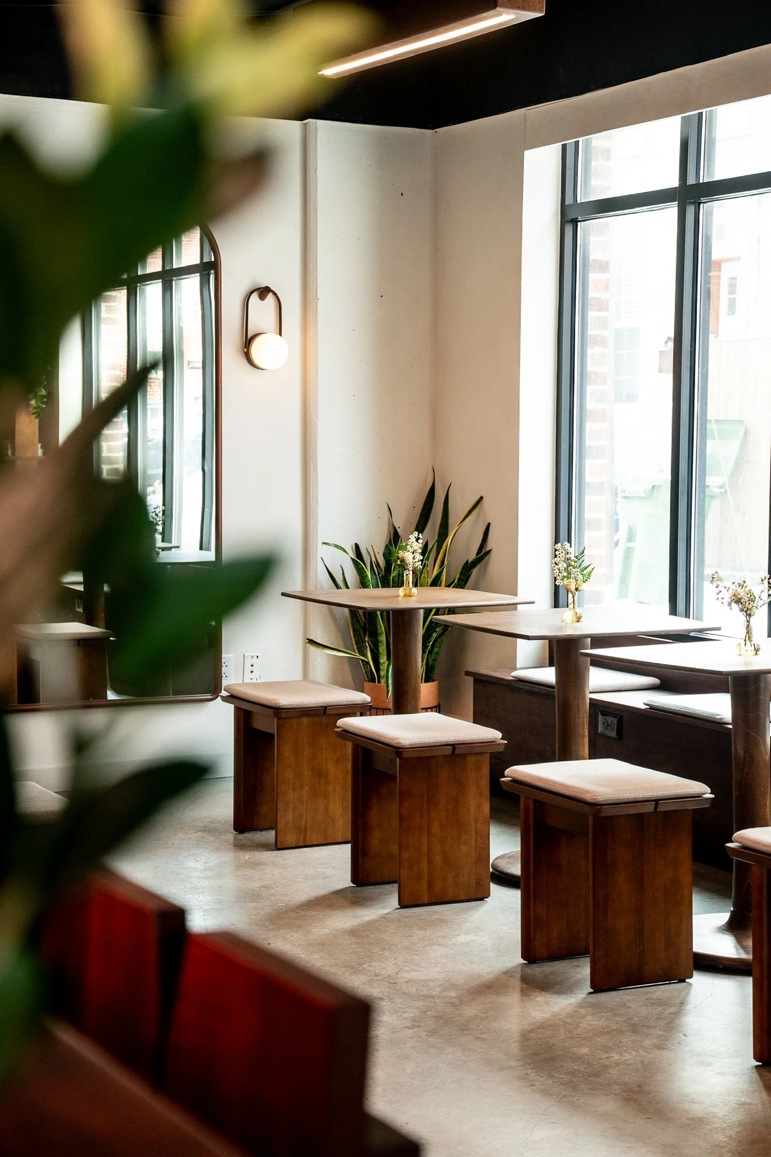 Interior view of a modern cafe or restaurant with wooden tables and stools, surrounded by large windows and indoor plants, illuminated by natural light.