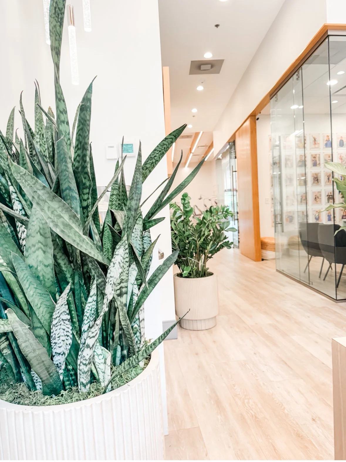 Interior of a modern office or commercial space with large potted plants, wood flooring, glass walls, and seating area visible through the glass.