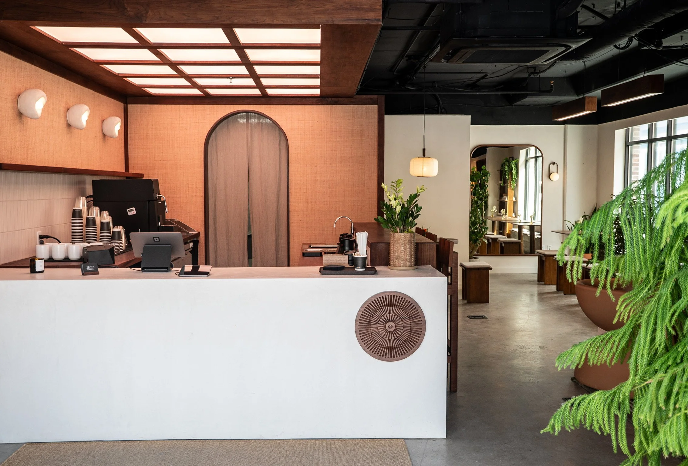 Interior view of a modern, cozy cafe with a white counter, coffee equipment, and a large potted fern plant in the foreground. The decor features warm wood accents, soft lighting, and large windows letting in natural light.