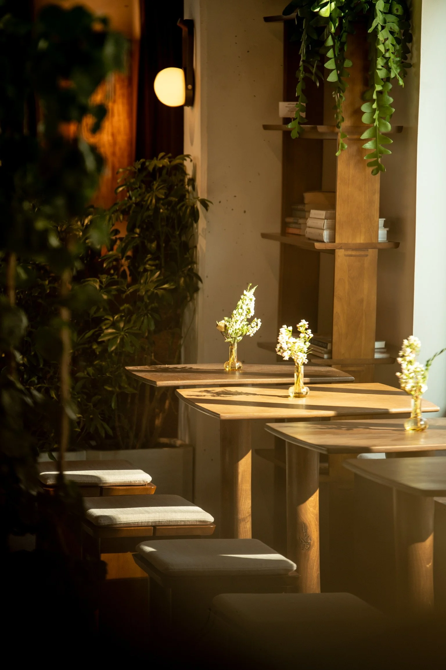 A cozy indoor restaurant seating area with wooden tables and cushioned chairs, decorated with small vases of white flowers, and surrounded by greenery, with warm lighting creating an inviting atmosphere.
