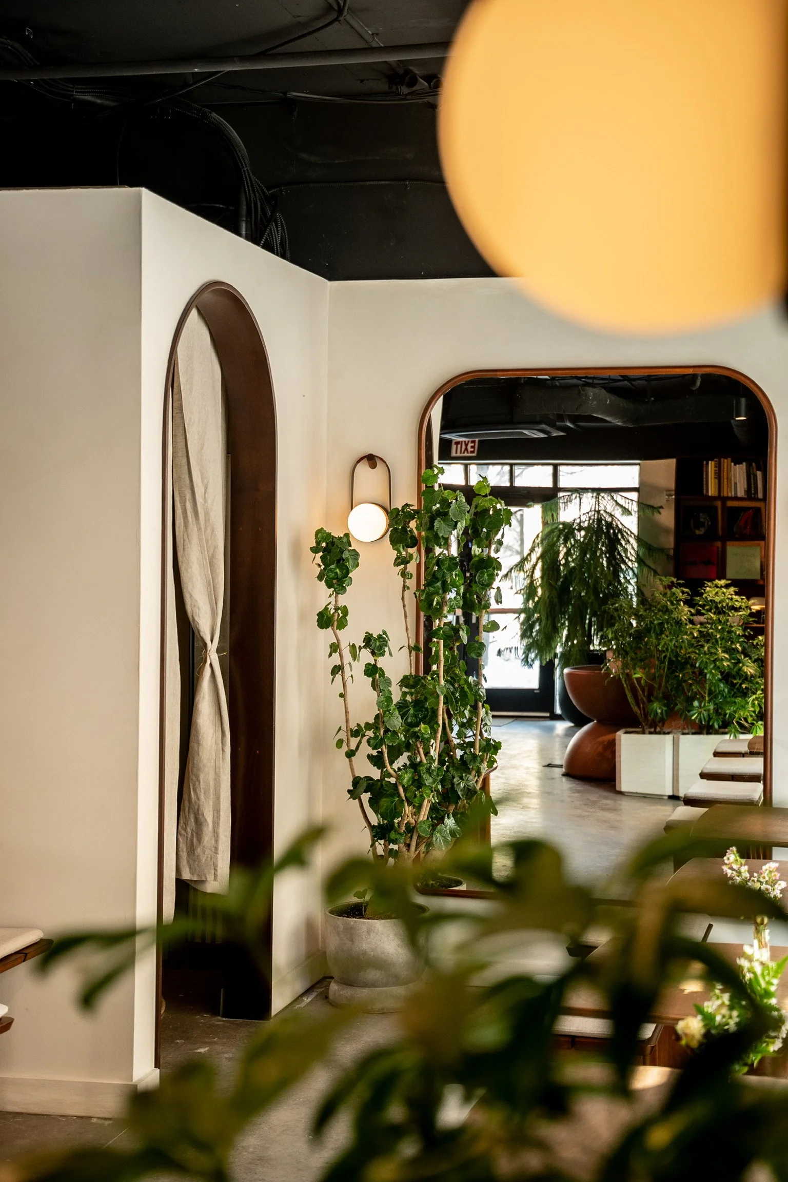 Indoor space with plants, a hallway, and a doorway with an exit sign, visible through a mirror