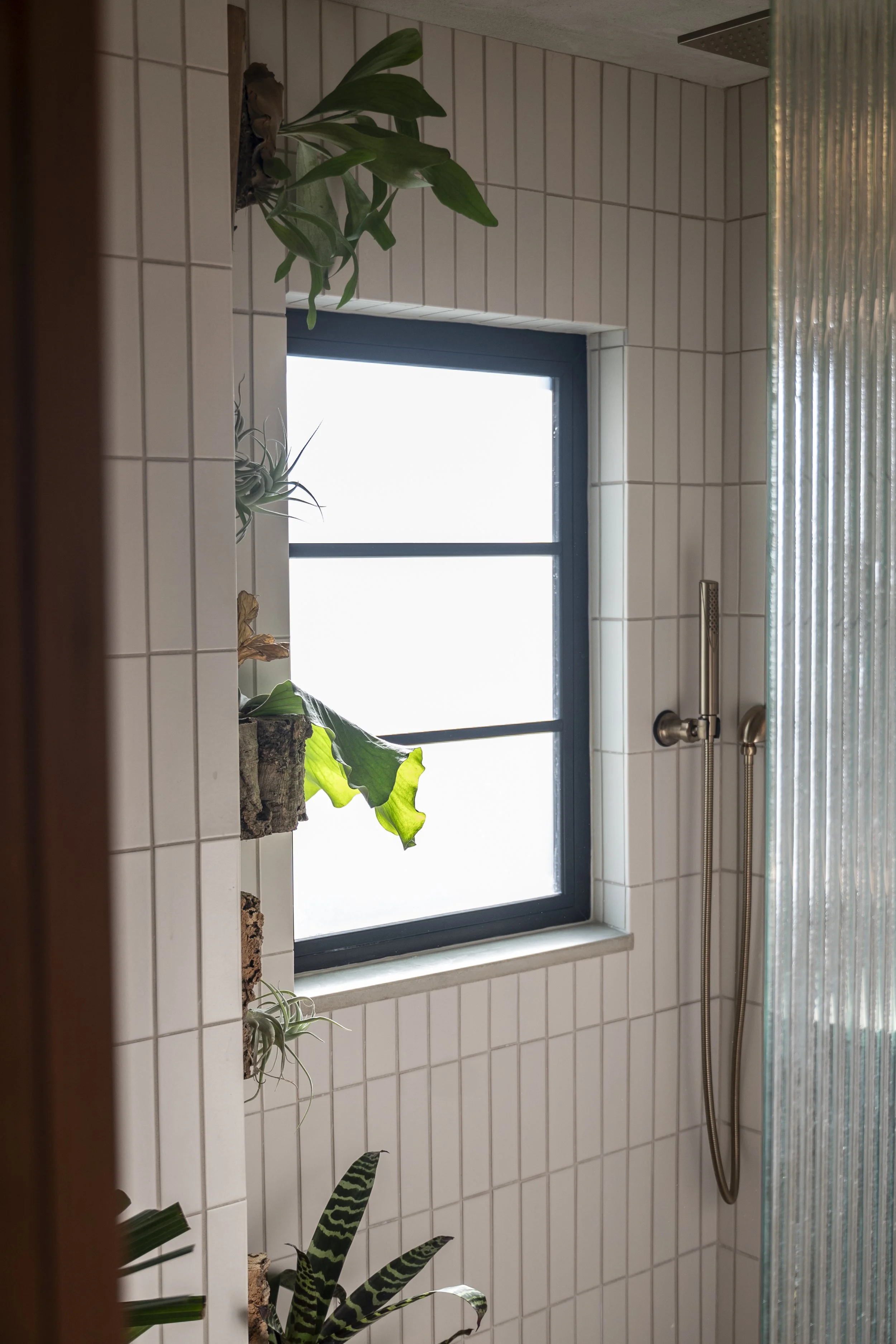 A bathroom with a tiled wall, a window with frosted glass, a shower head with a hose, and several potted plants on a ledge.