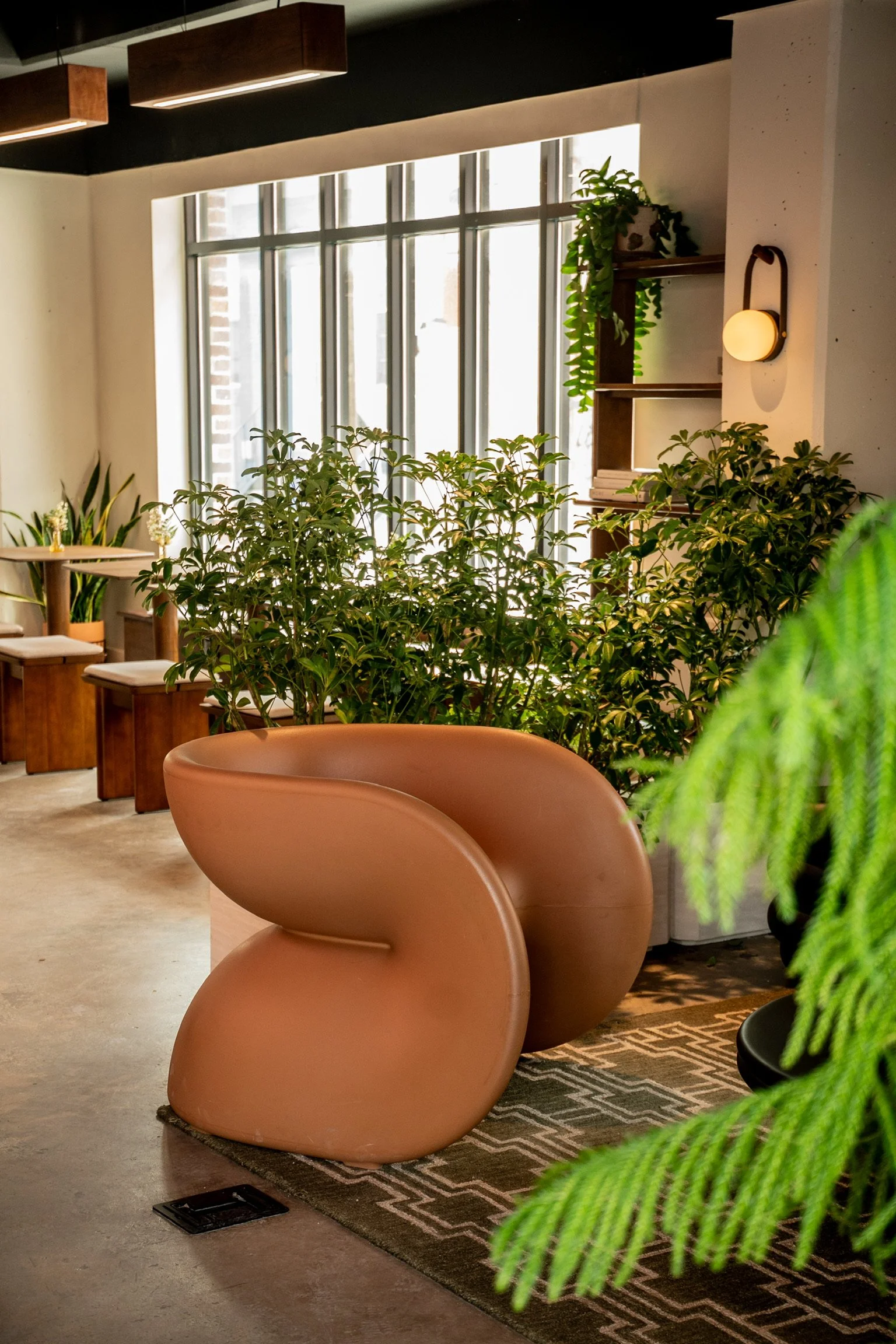 Interior view of a cozy cafe or lounge with pink, sculptural armchairs, lush green plants, large window with blinds, wooden shelves, a small table with decorative items, patterned rug, and warm ambient lighting.
