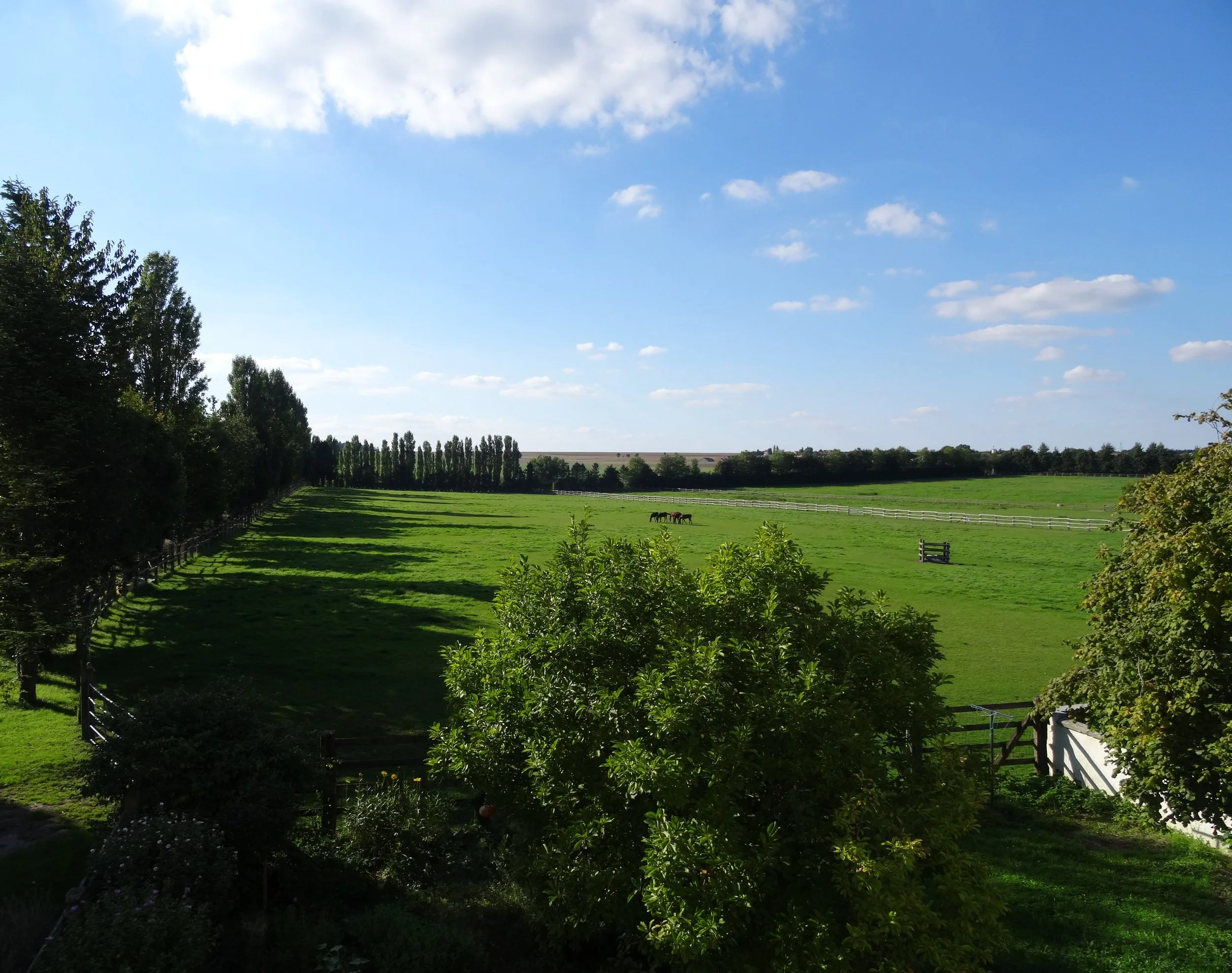 lsdbvudans lesalon.jpg