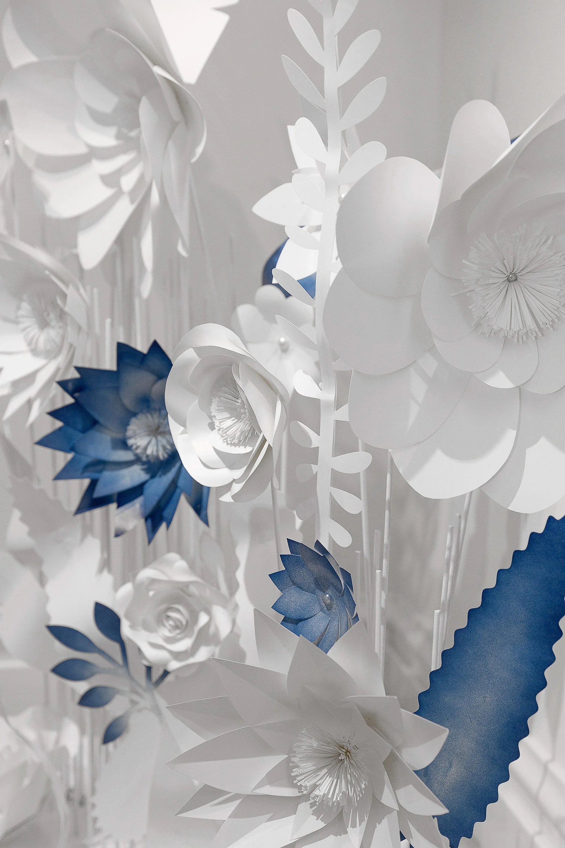 Anna Hu Art Installation