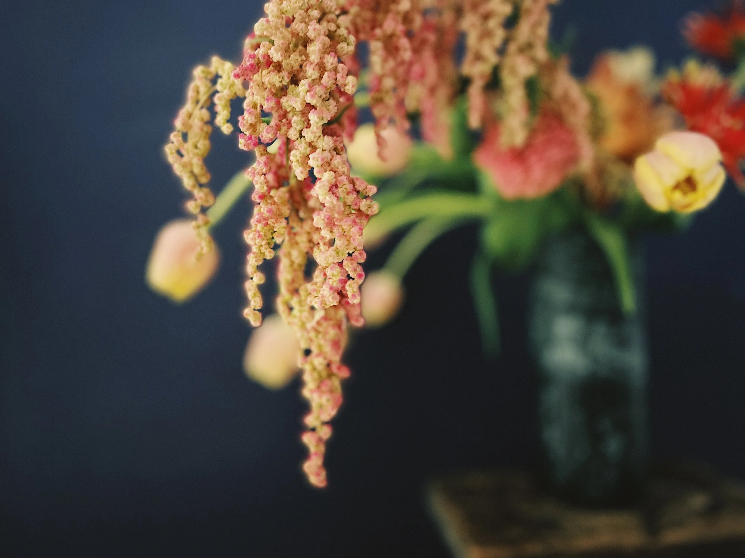 Close-up of a floral arrangement with cascading amaranthus and blurred colorful flowers in a vase.