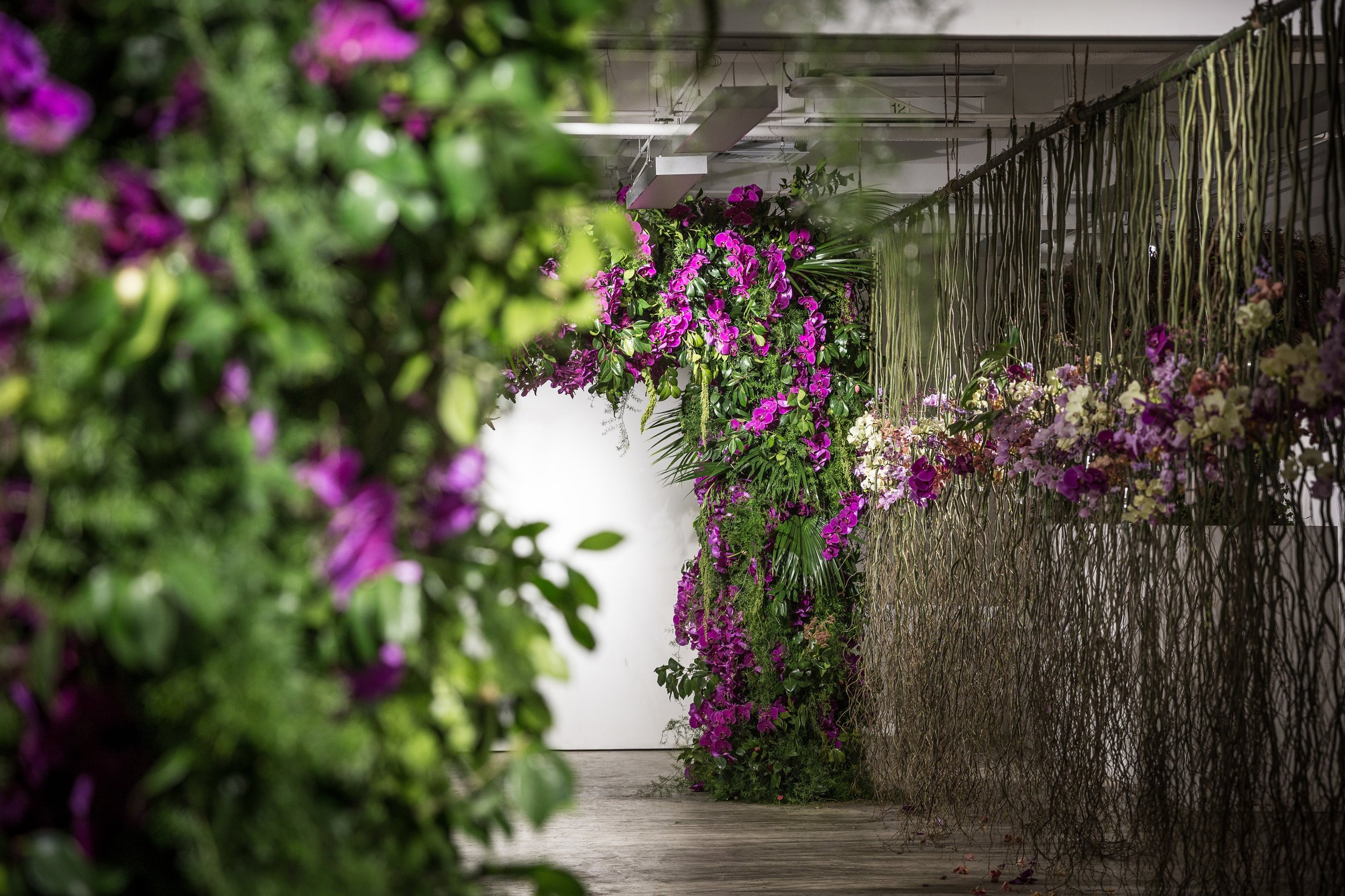 Indoor floral display with vibrant purple and pink flowers and lush green foliage creating an arch and hanging arrangements, set against a white wall.