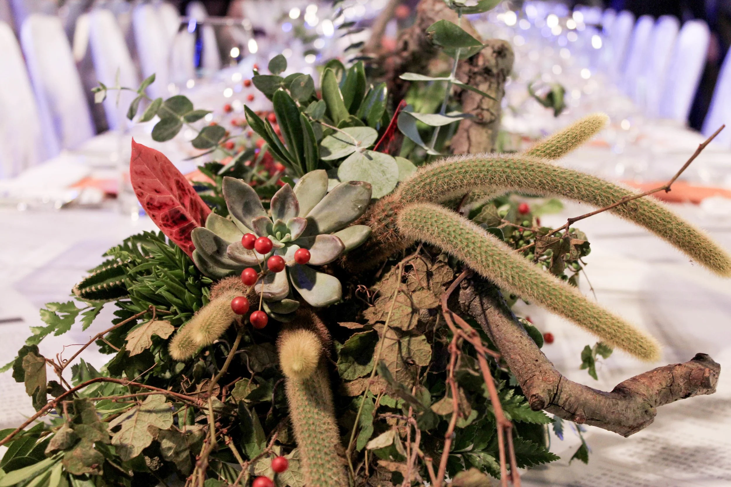 Table centerpiece with succulents, red berries, cactus, and foliage.