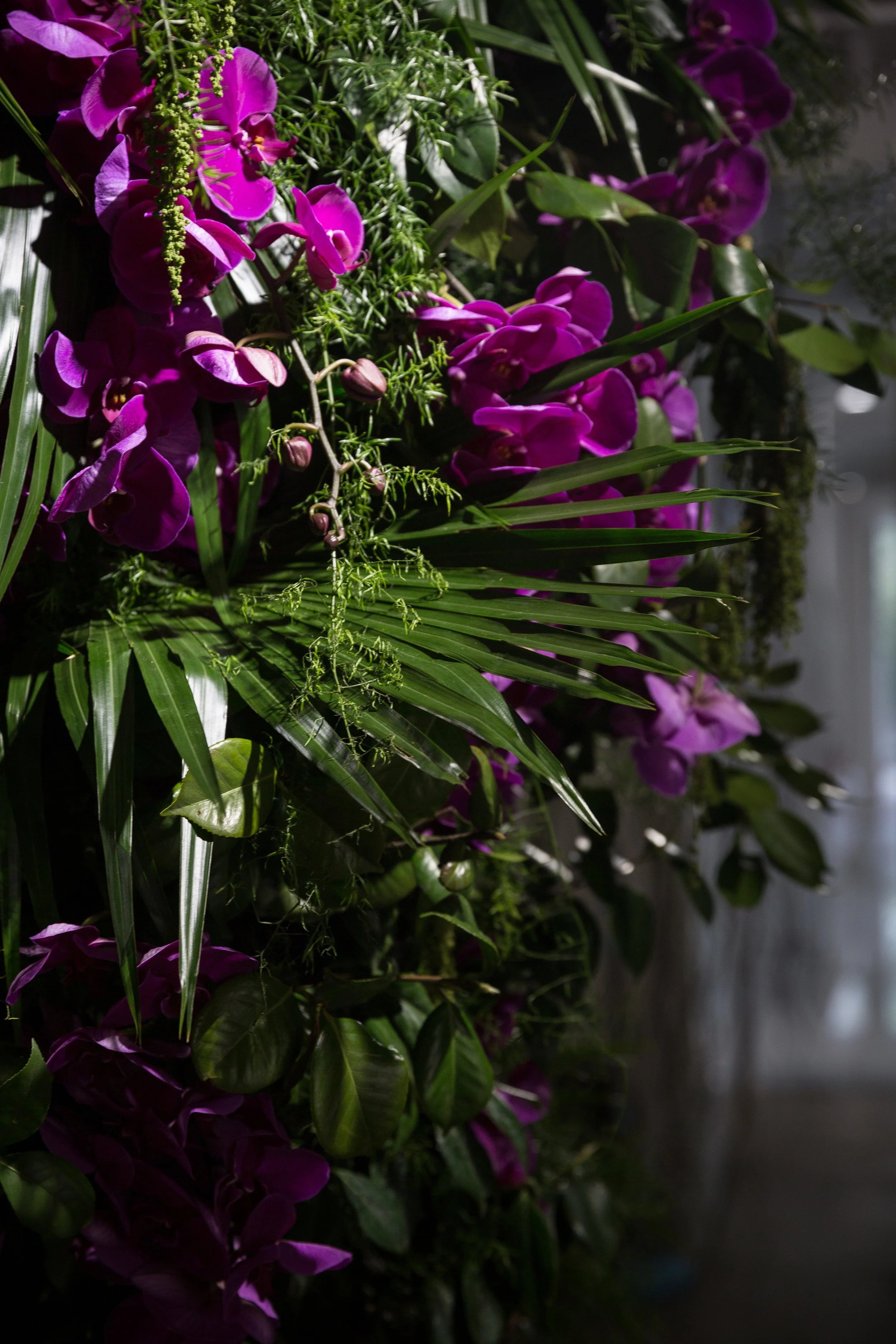 Vibrant purple orchids surrounded by lush green foliage