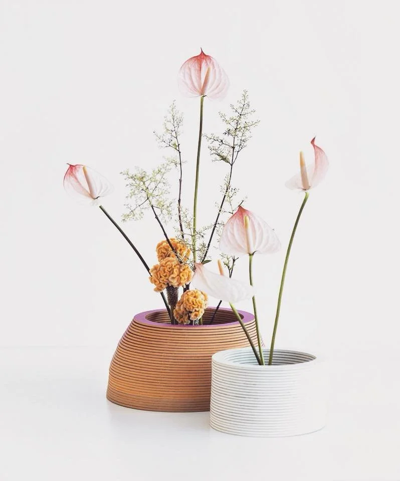 Minimalist floral arrangement in ribbed ceramic pots with anthuriums and other flowers on a white background.
