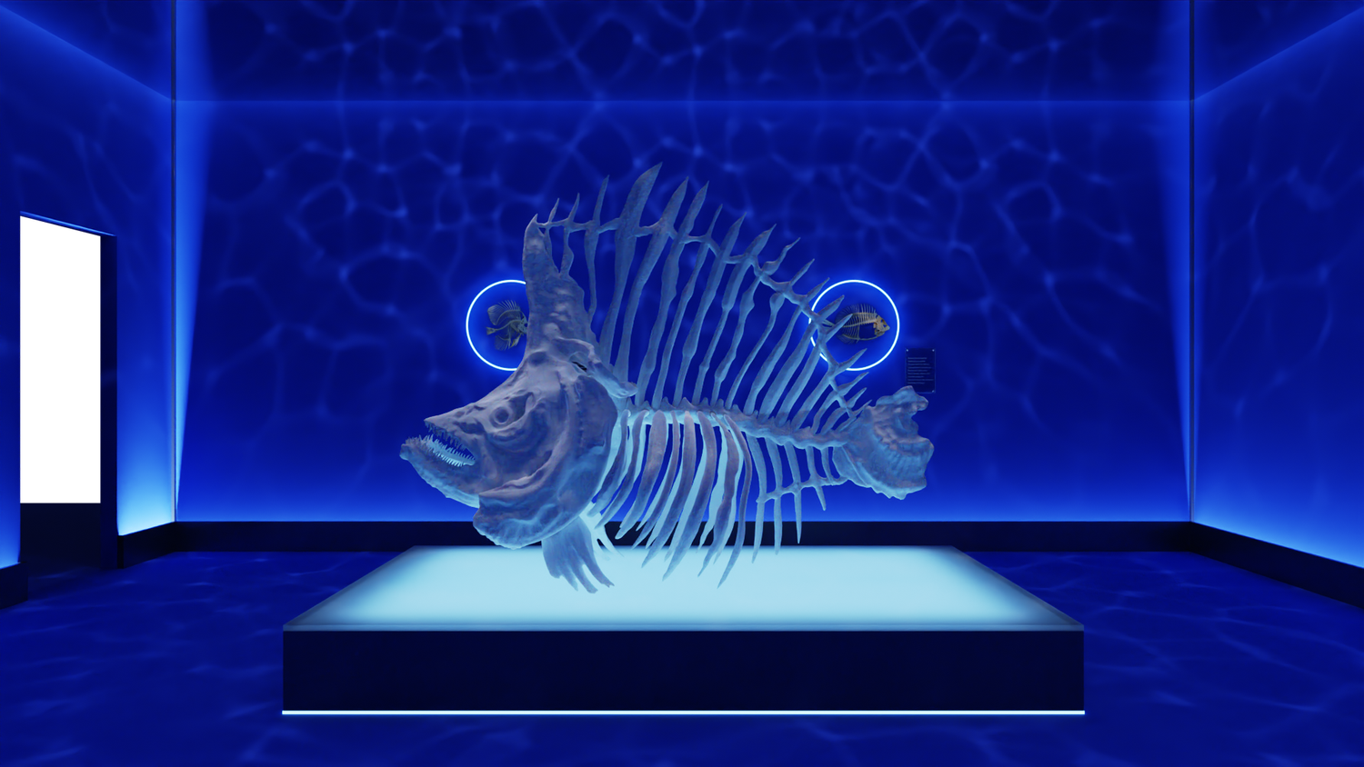 Land of Tomorrow: a fictional fish specimen in a blue-lit specimen room