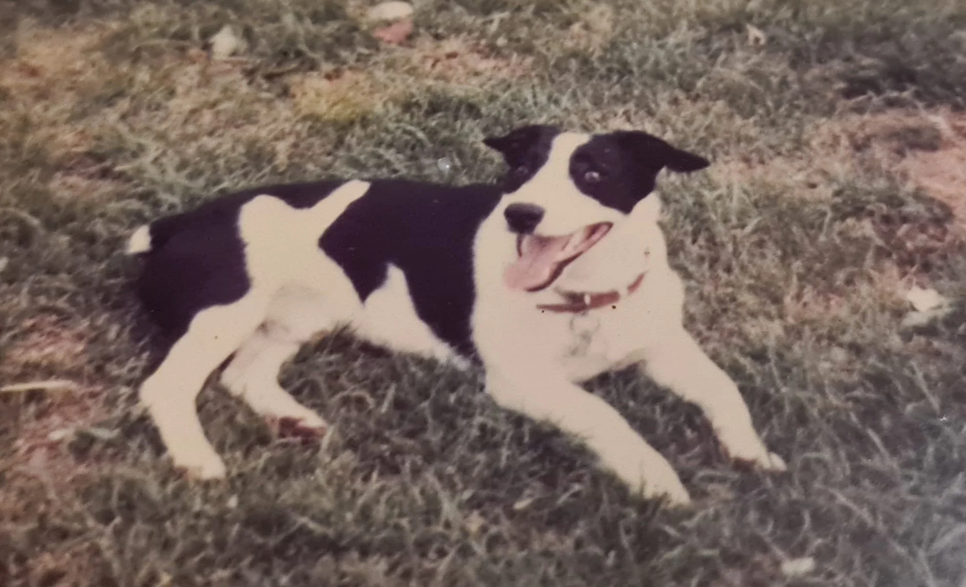 1. How I Started Healing