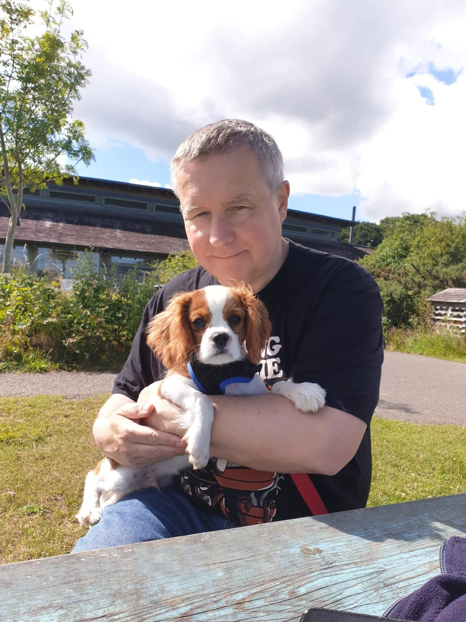 King Charles Cavalier
