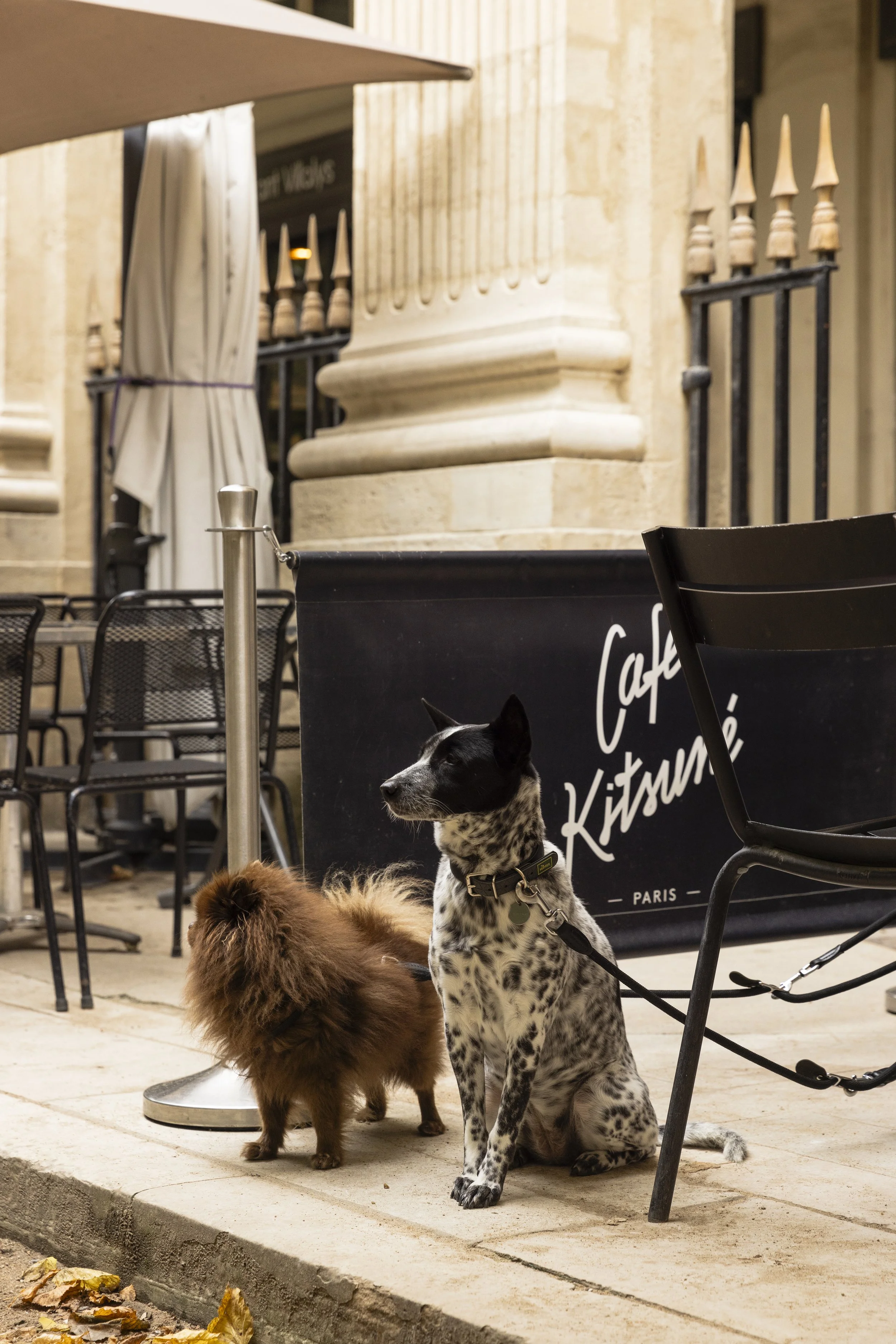 Hilton-Paris-097.jpg