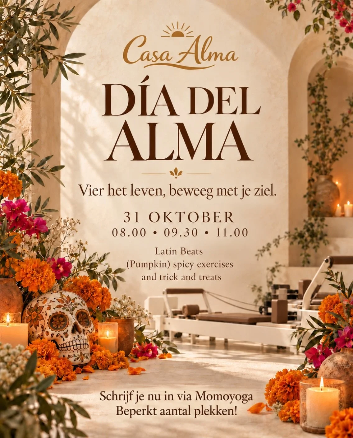 💀🌸 D&iacute;a del Alma bij Casa Alma!

Op 31 oktober vieren we het leven met Latin beats, (pumpkin) spicy oefeningen en natuurlijk&hellip; trick &amp; treats! 🎃🤎 Een knipoog naar D&iacute;a de los Muertos, met de warmte van Casa Alma.

✨ 08.00 | 