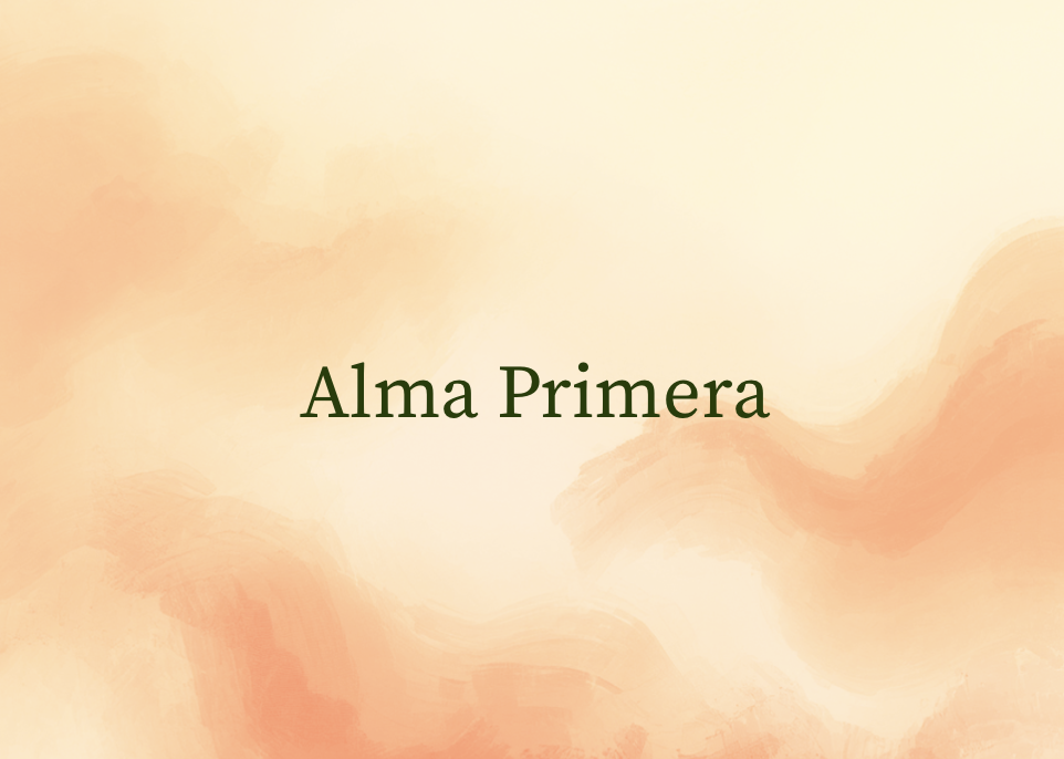 Alma Primera (introductie aanbod 2 +1 les gratis)