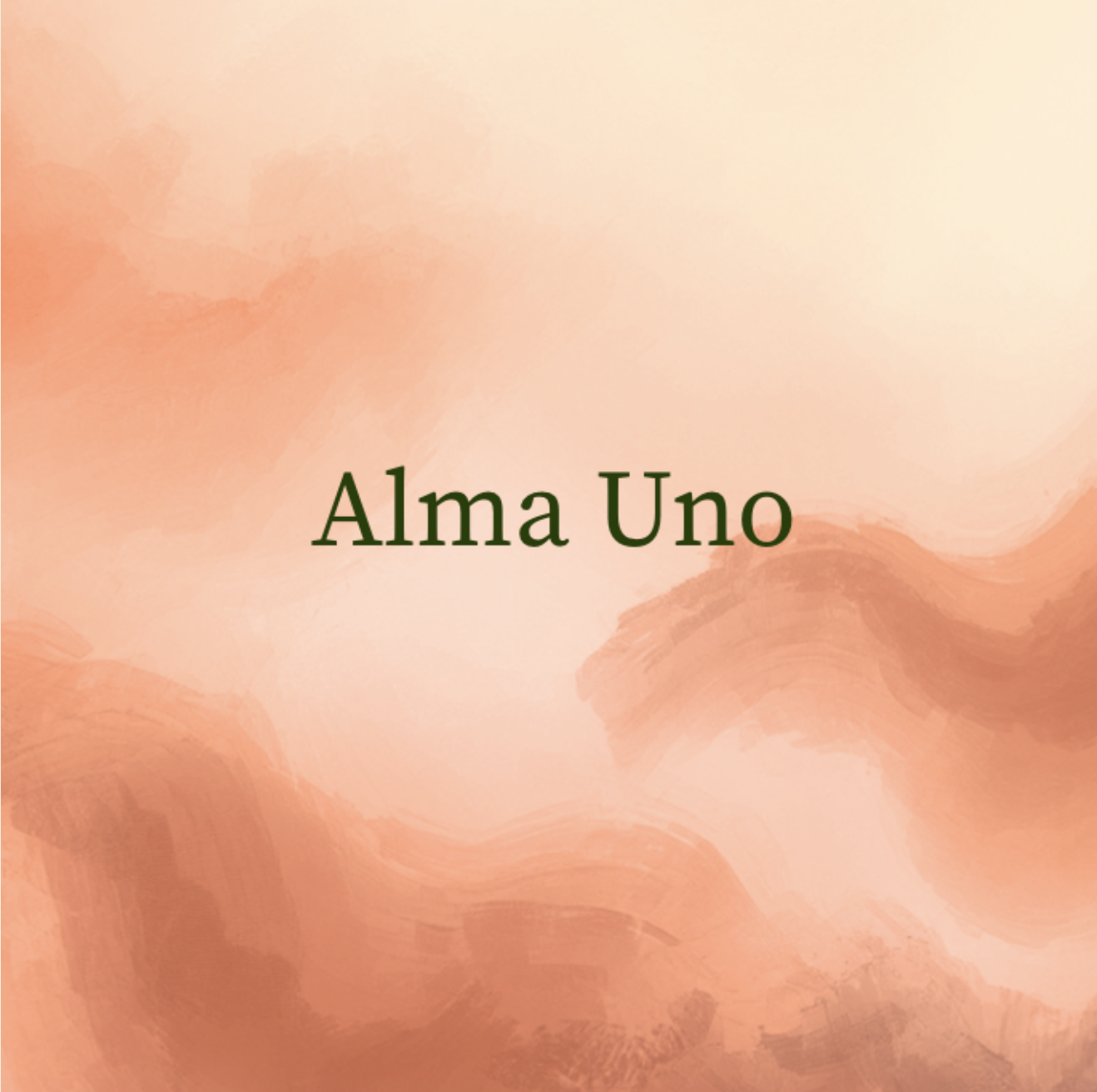Alma Uno, één les bij Casa Alma Pilates Studio
