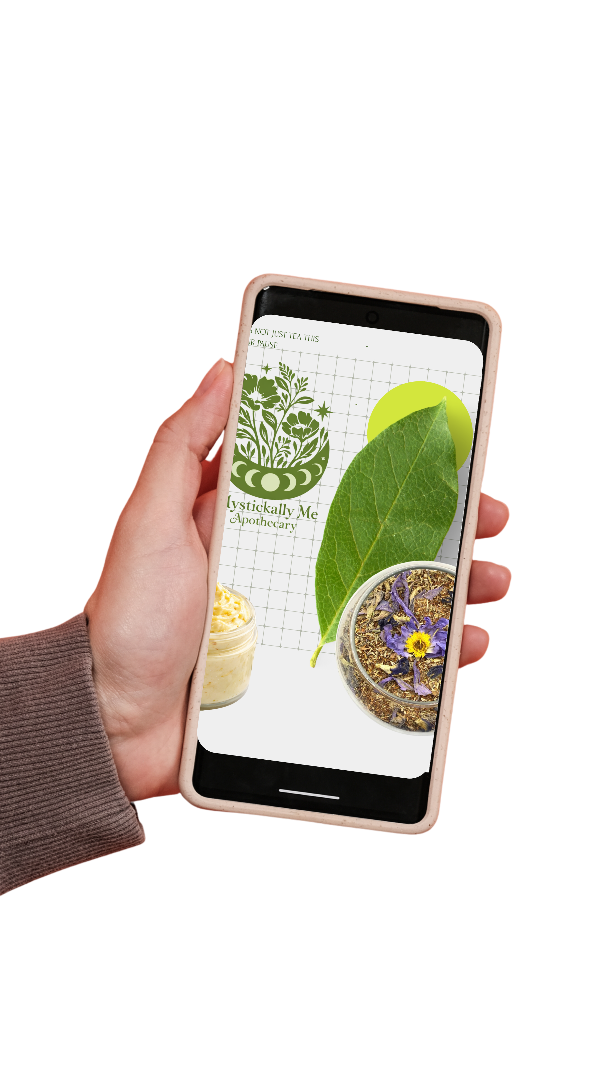 Hand holding a smartphone displaying a digital herbal product label with a leaf, a flower, and herbal ingredients.