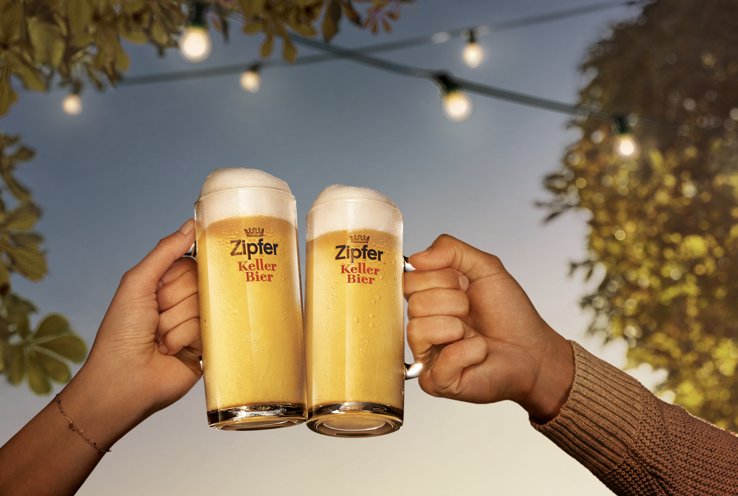 Zwei Hände, eine weiblich mit Armband, die eine Bierglas hält, die andere männlich, die das zweite Bierglas hält, heben gemeinsam ein Bier an. Die Gläser tragen den Text 'Zipfer Keller Bier'. Hintergrund mit Baum und Lichterketten bei Sonnenuntergang