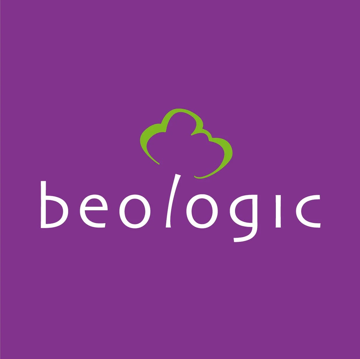 Logo with the word 'beo/logic' and a stylized green cloud outline on a purple background.