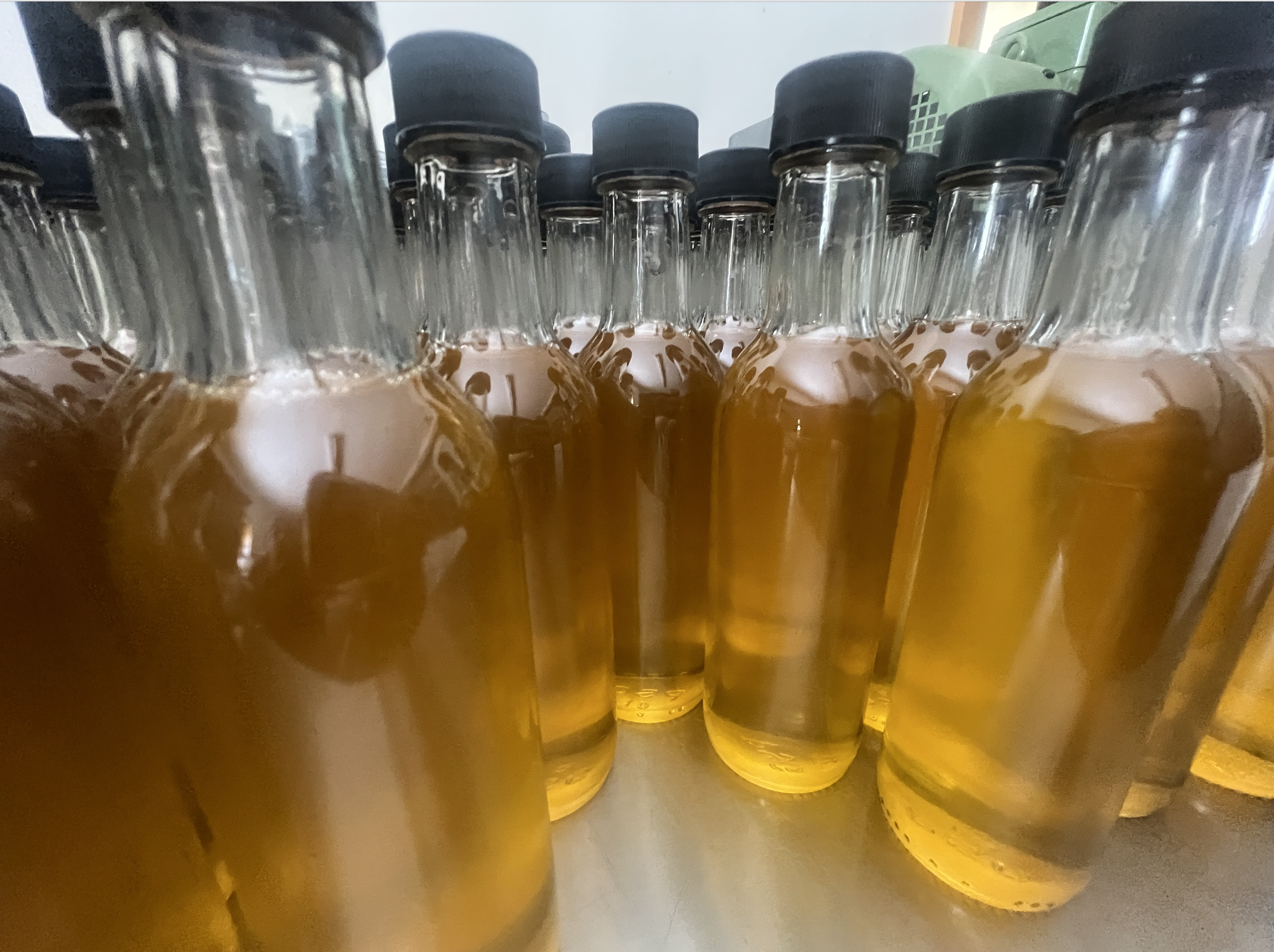 Screenshot 2026-03-06 at 7.06.29 AM.png