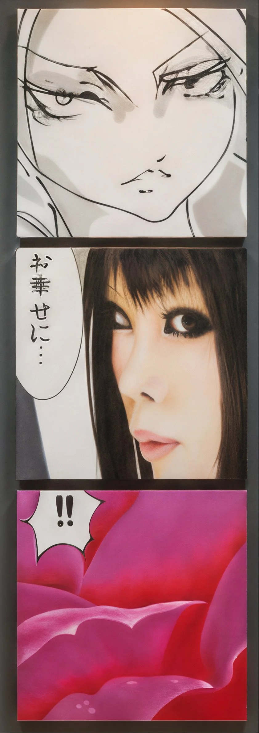 STAGES OF METAMORPHOSIS : ROSE PETAL CURRENT, 2009