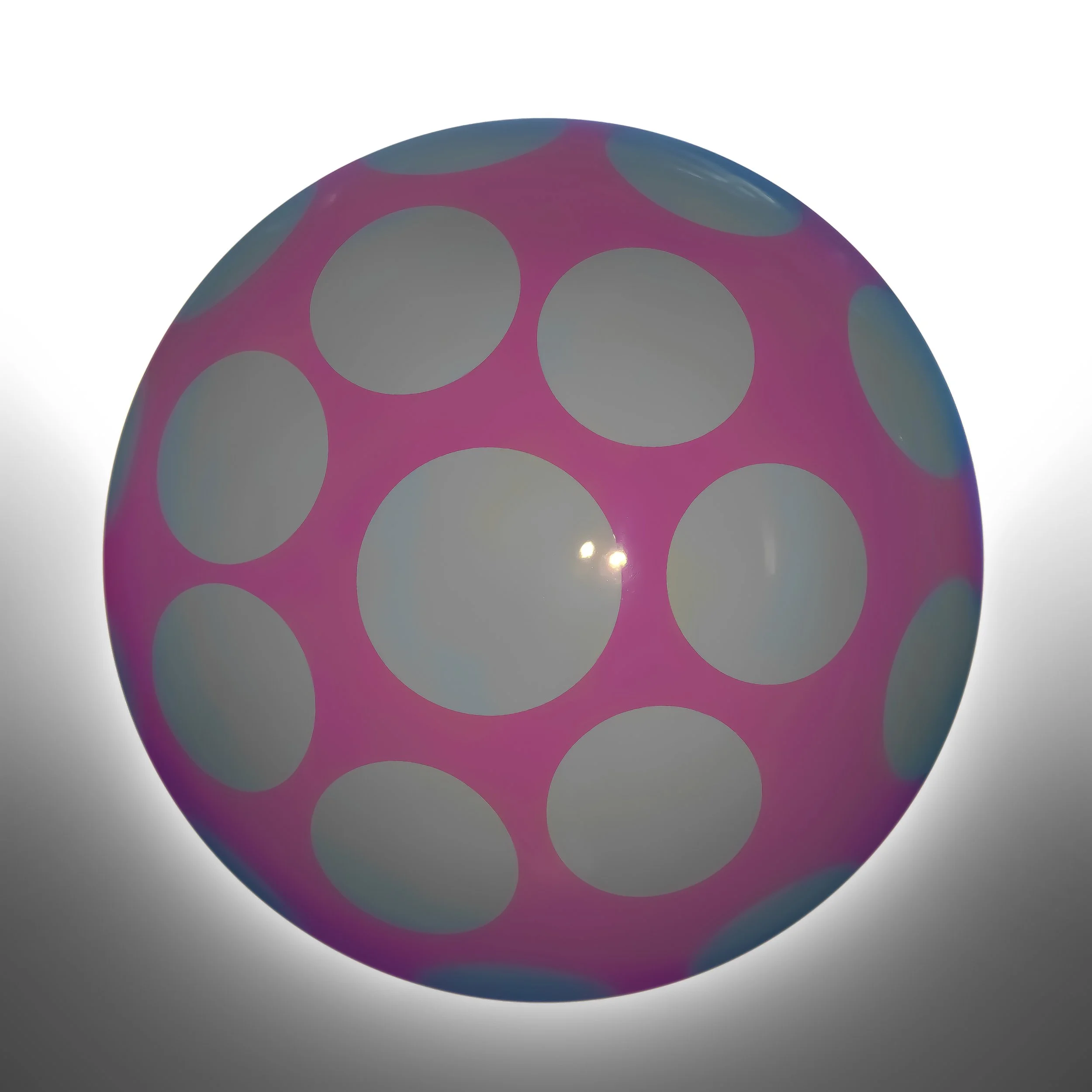 Shiitake Symphony : A Grand Fungi Fantasia