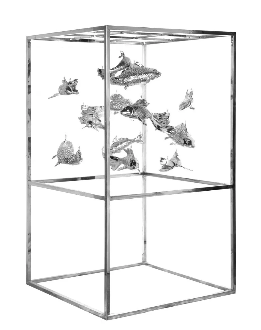 Magoi & Higoi's Dance : Nishikigoi's Serenade in the Celestial Haven